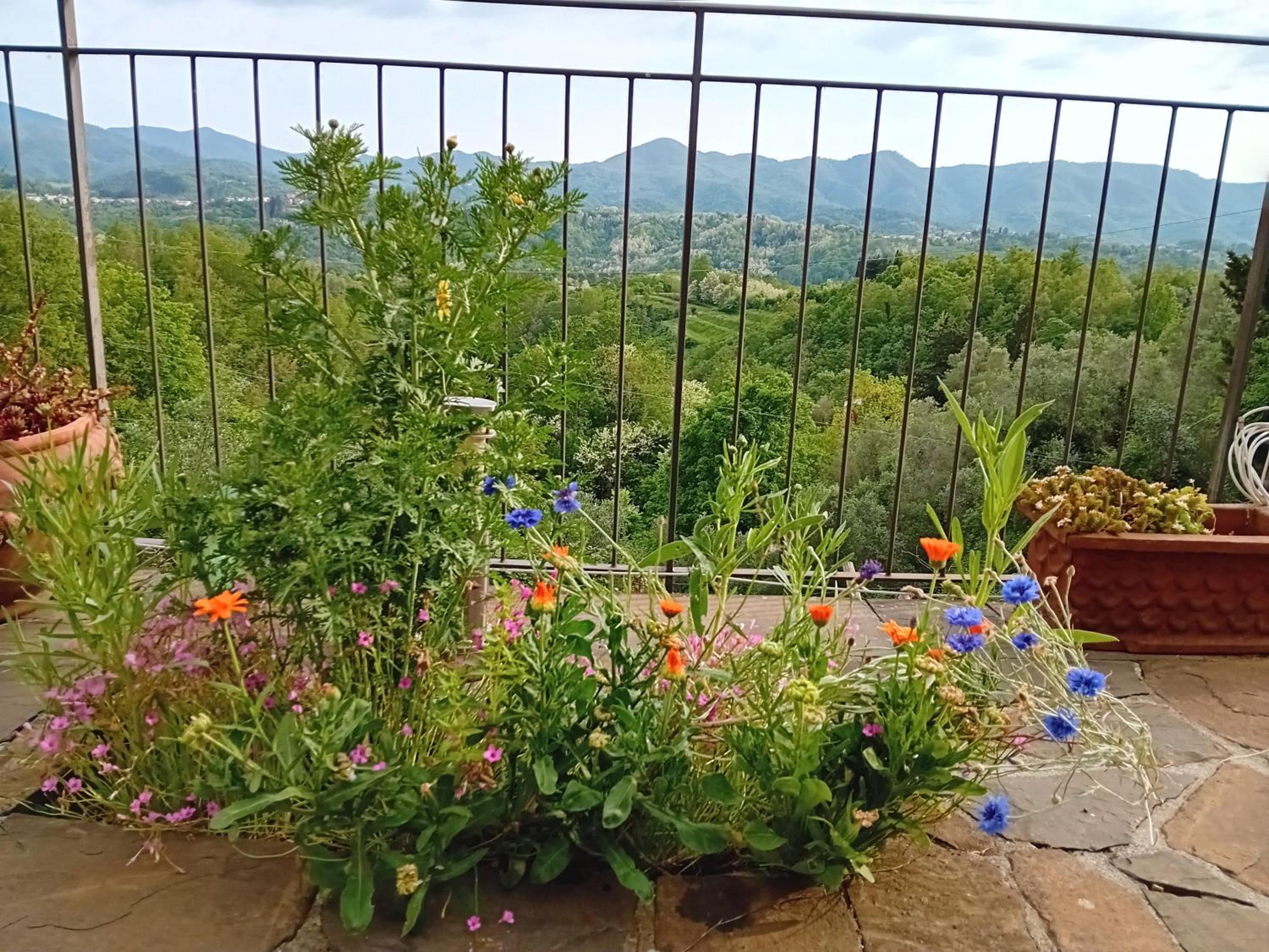 Cinque terre da Béa