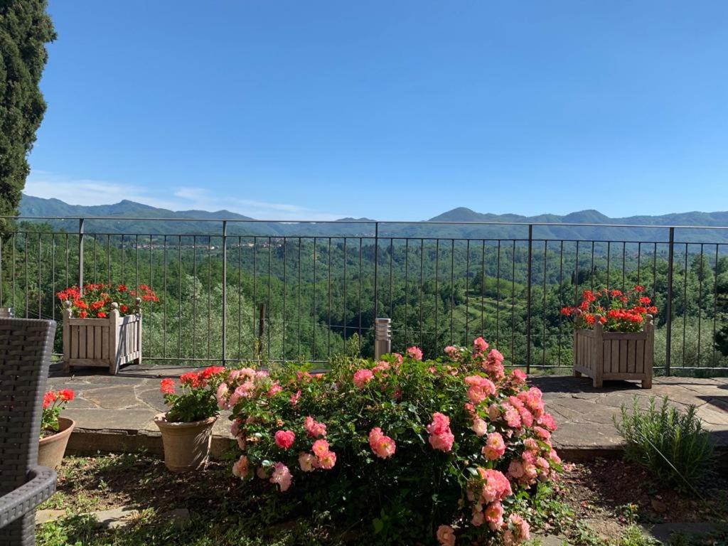 Cinque terre da Béa