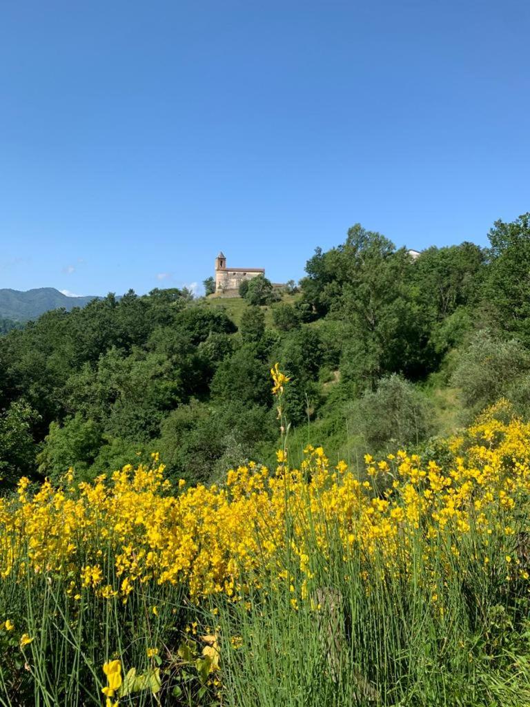 Cinque terre da Béa
