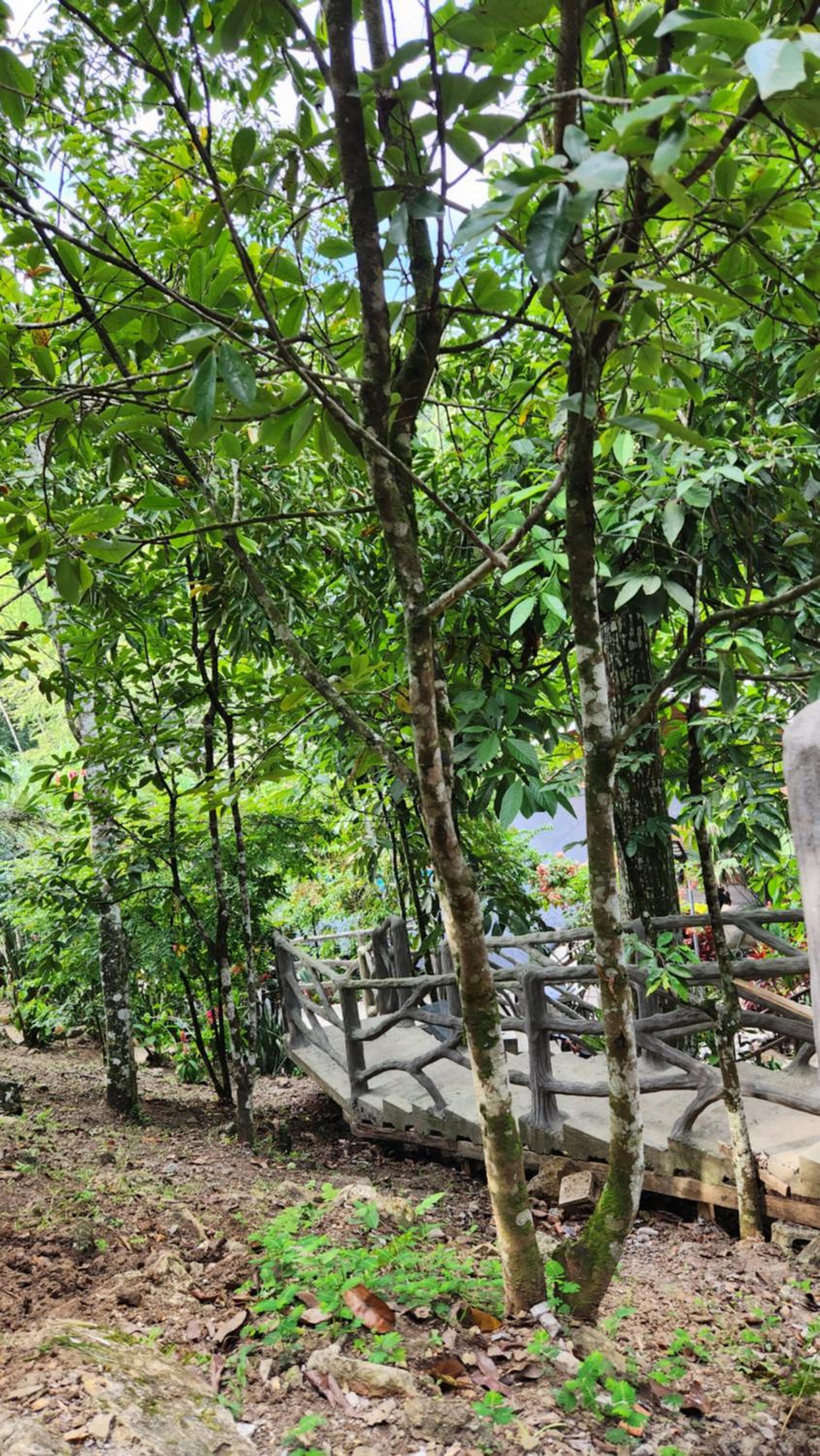 Eco Hotel Giraloa