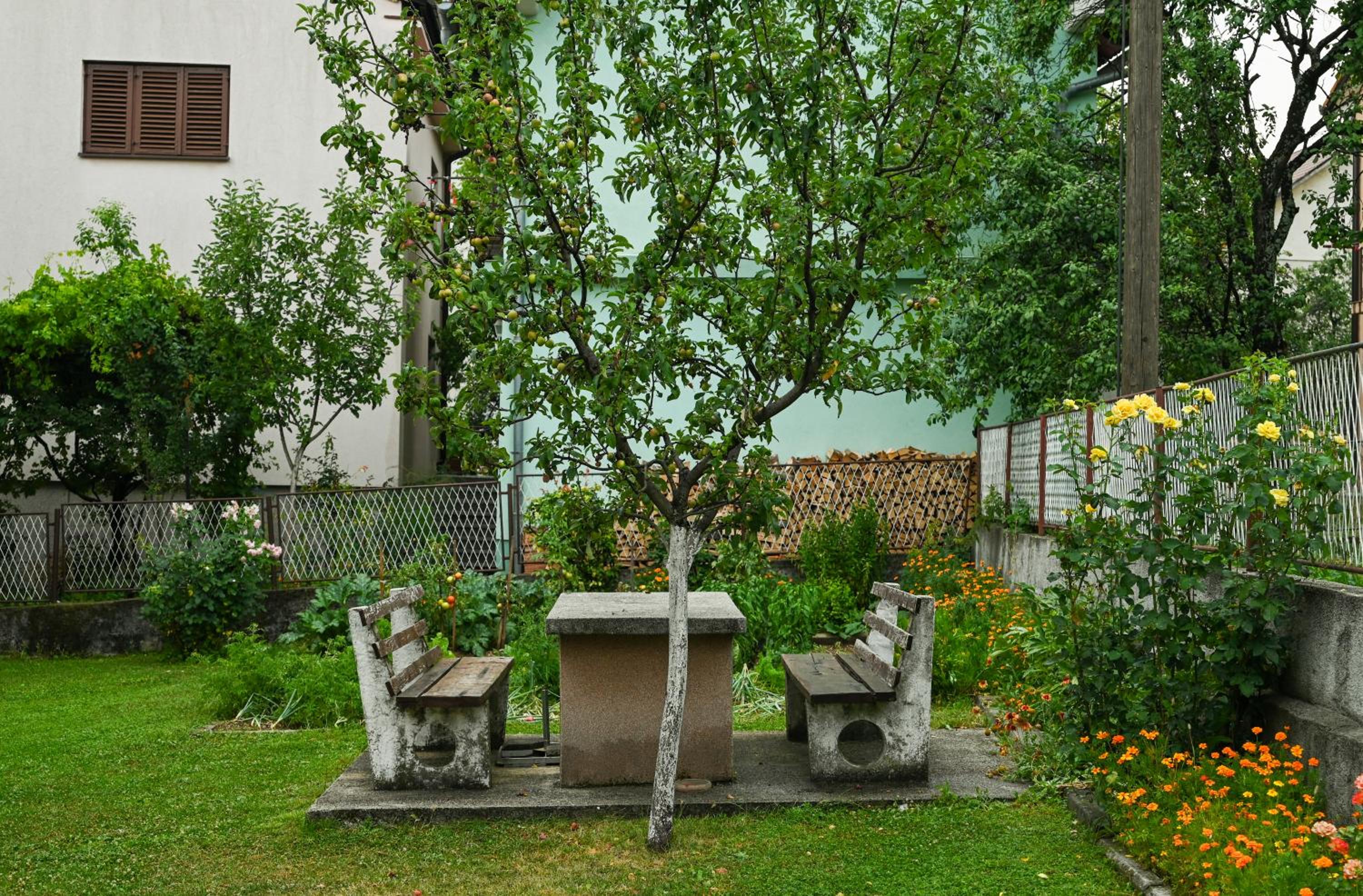 Apartman Pavić