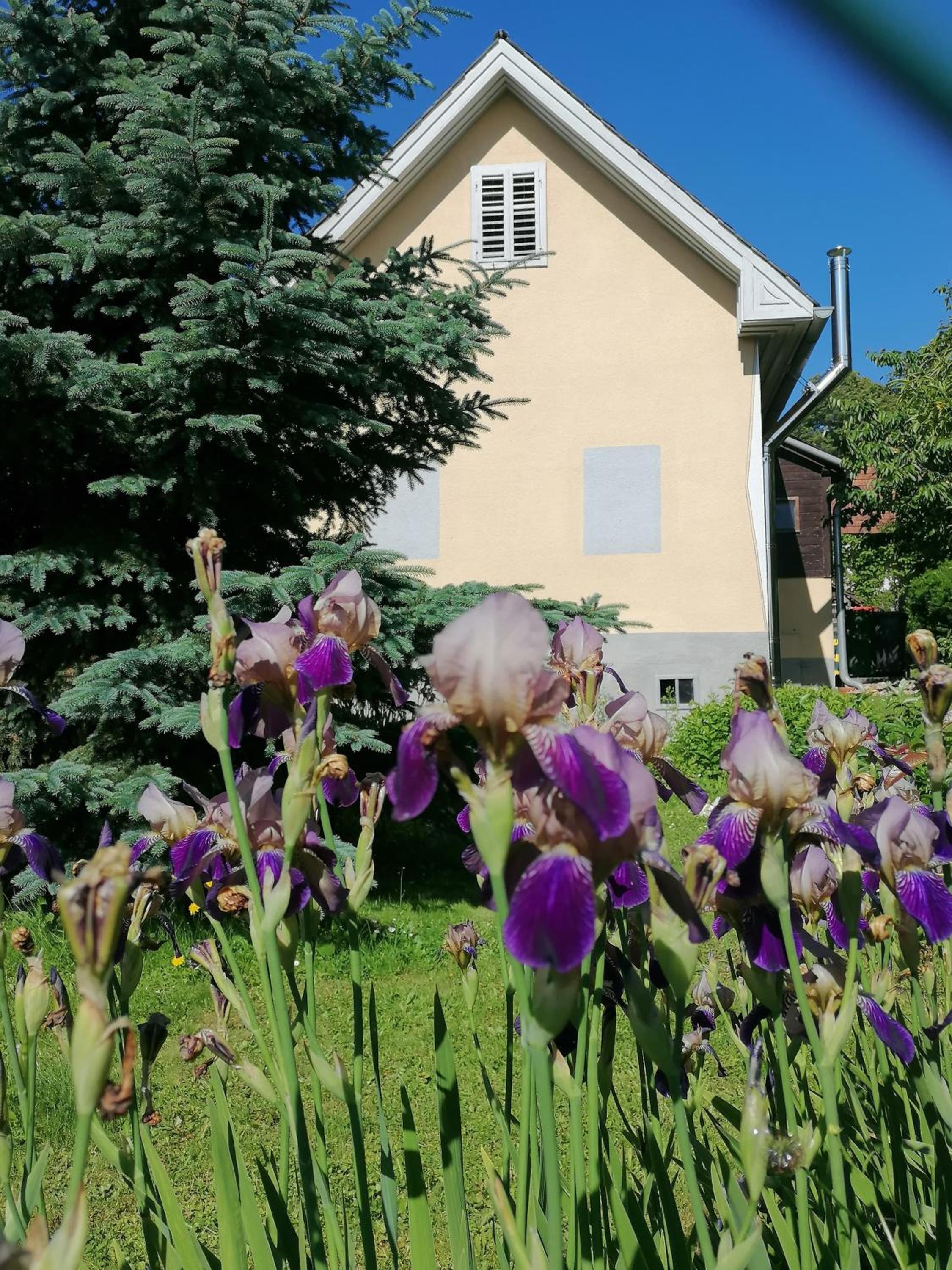 Ferienhaus klein und fein