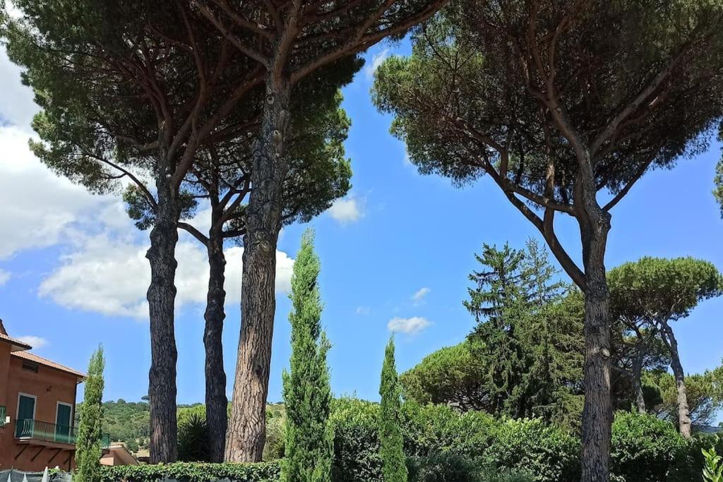 Villa Tusculum - Duplex apartment