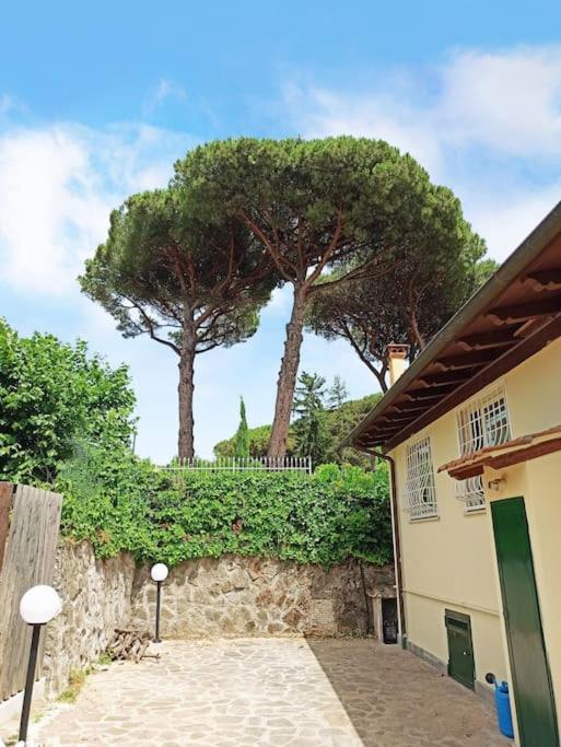 Villa Tusculum - Duplex apartment