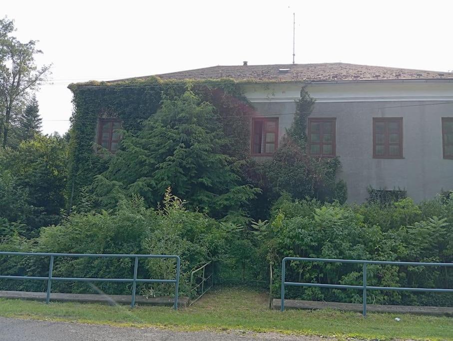Stará škola - studio apartmán, 4 lůžka
