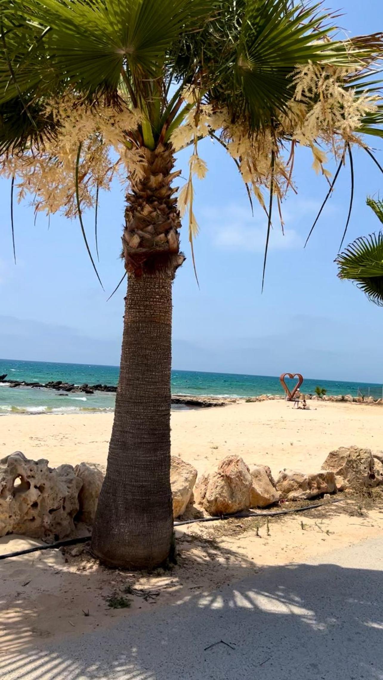 Ayia Napa Villa Jasmine Sirens Beach Dom na Cyprze