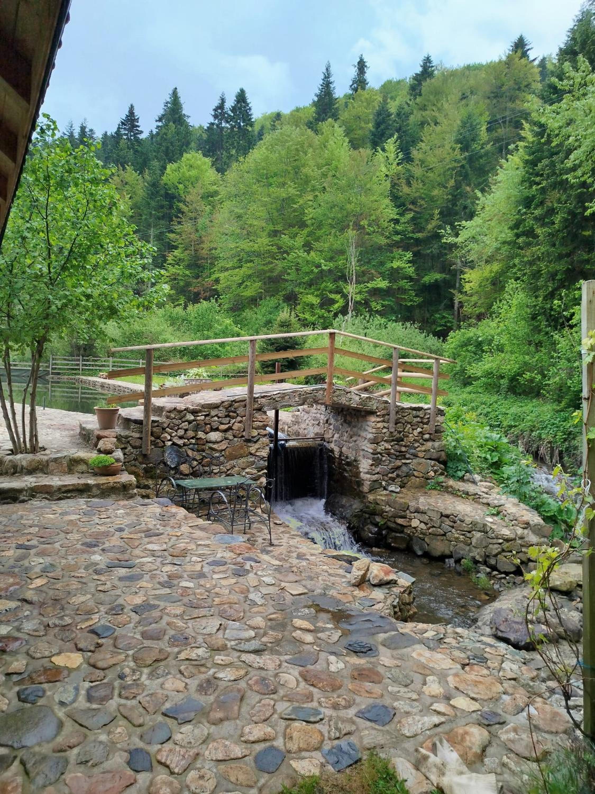 Photo 14