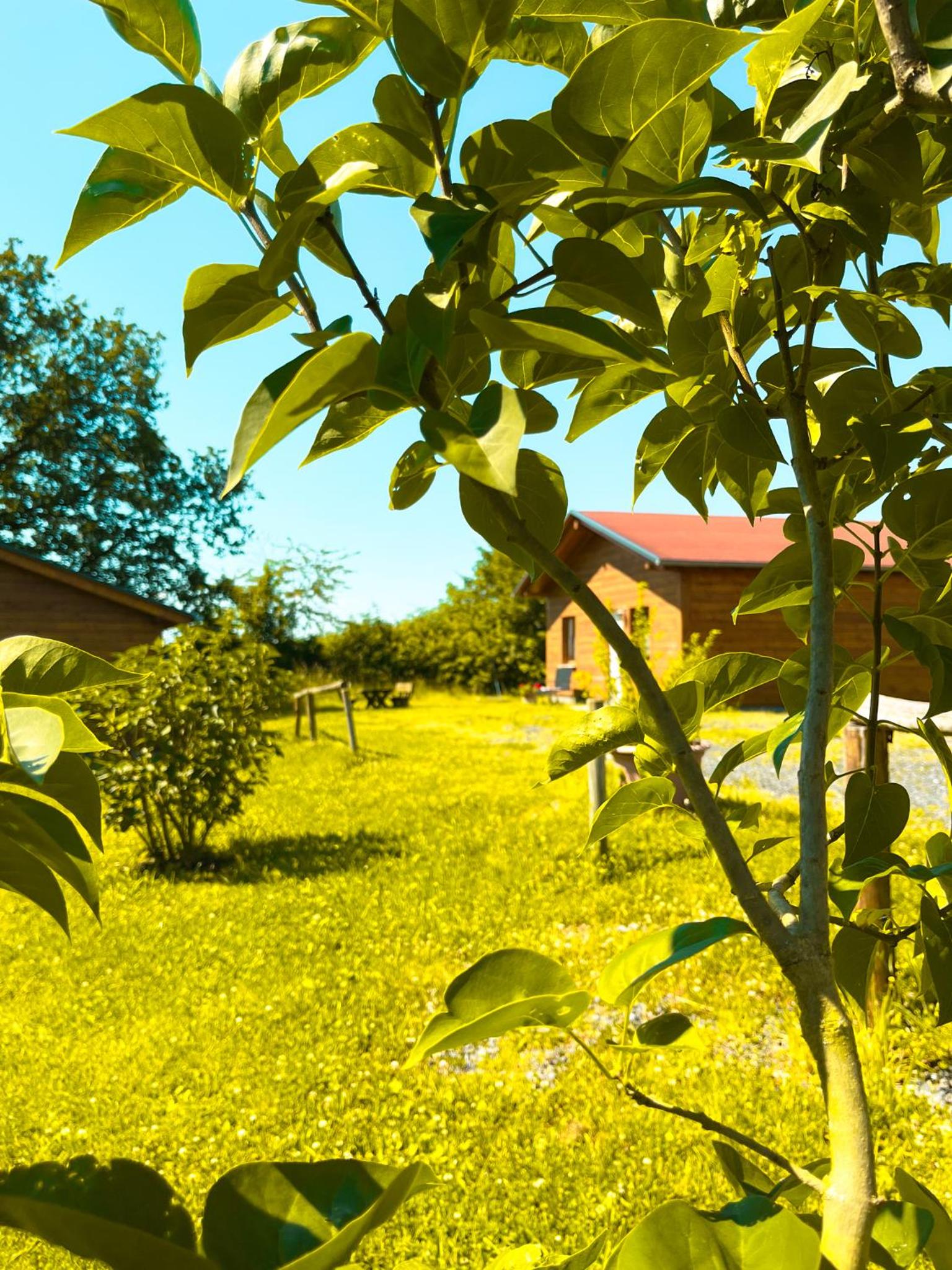 Feriendorf Lahnsteiner Höhe