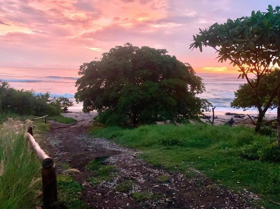 Amazing Ocean Front Condo In Langosta