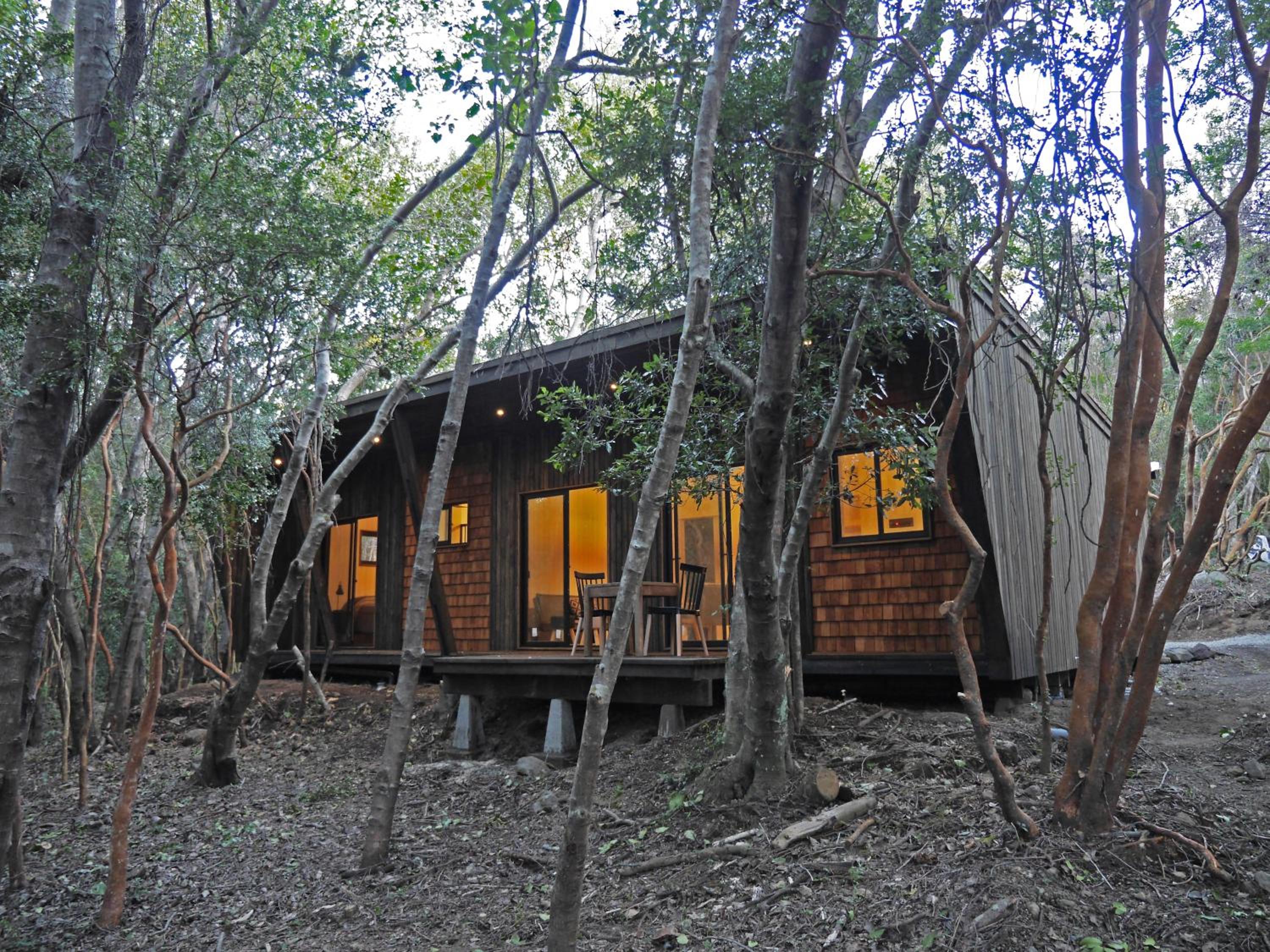 Bosque Escondido
