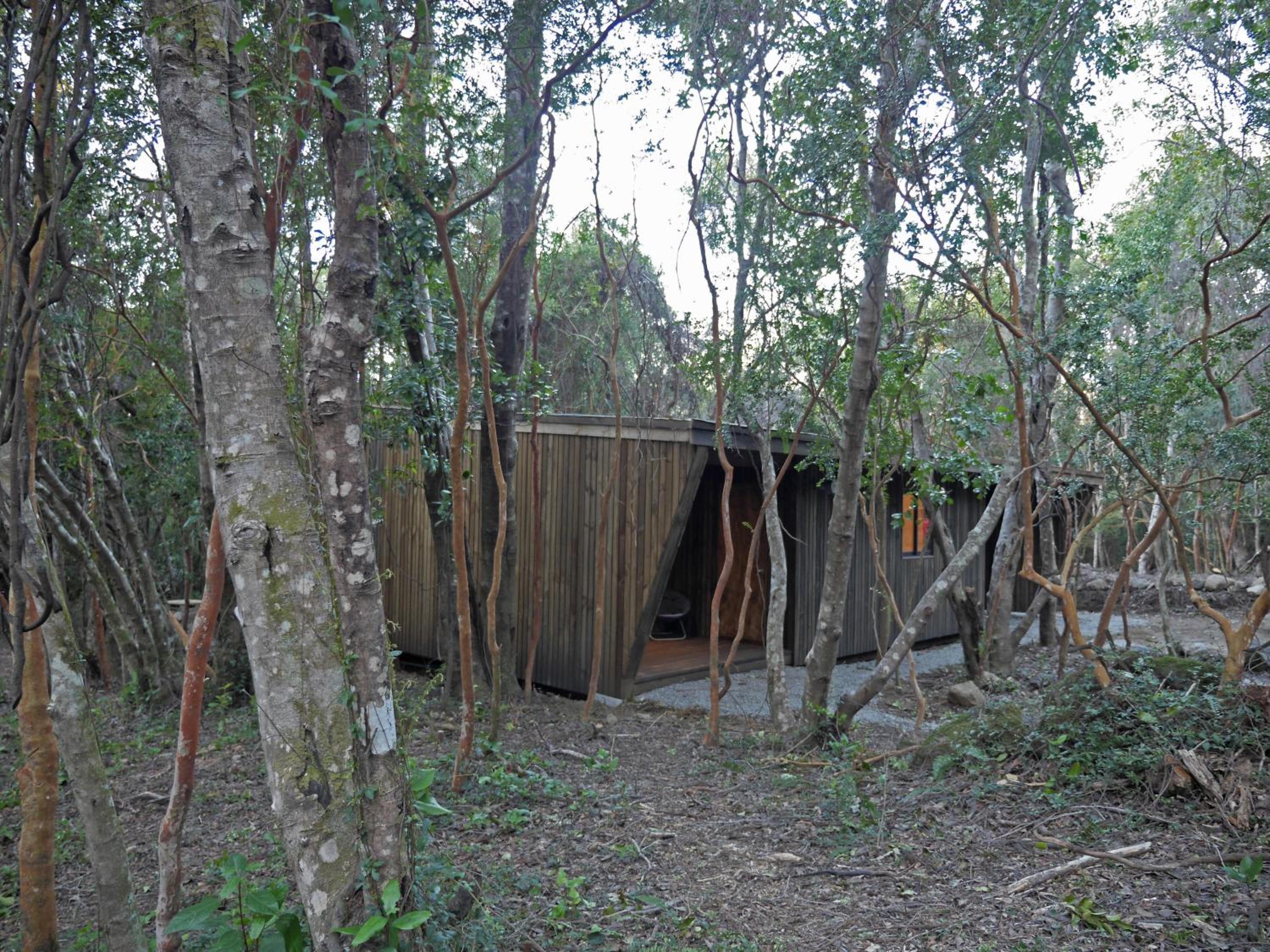 Bosque Escondido