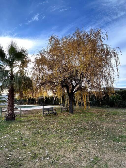 Monoambiente Cabañas ÁlamoBlanco San Rafael