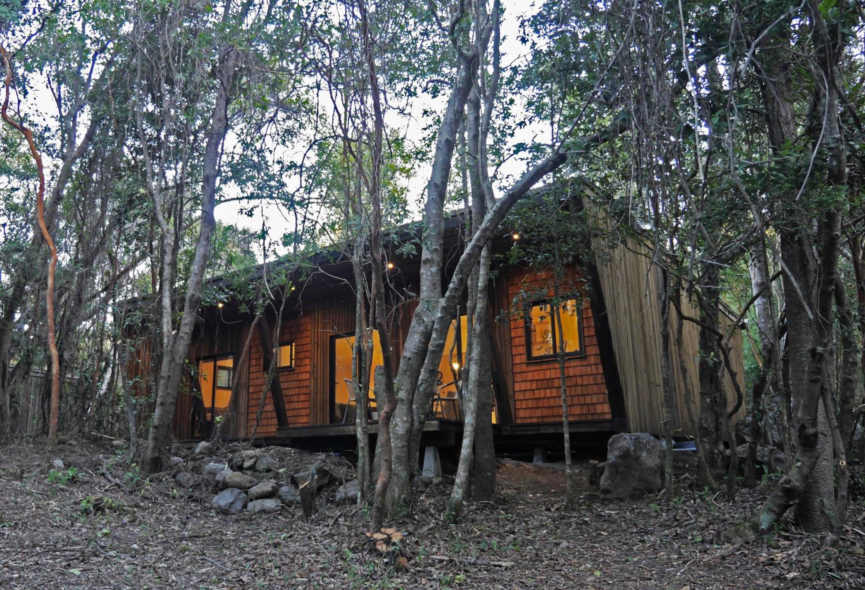 Bosque Escondido