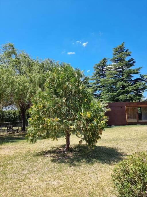 Monoambiente Cabañas ÁlamoBlanco San Rafael