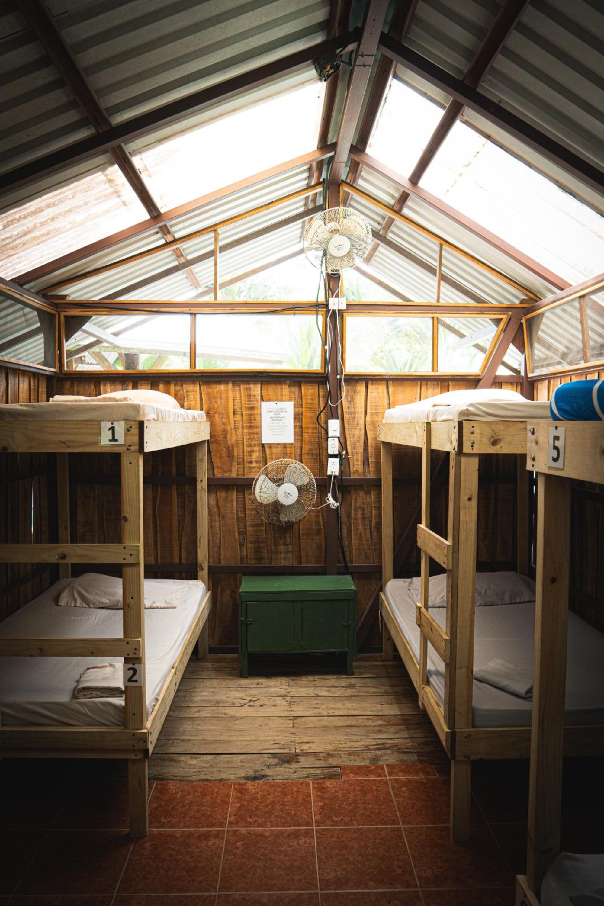 Flutterby House Hostel