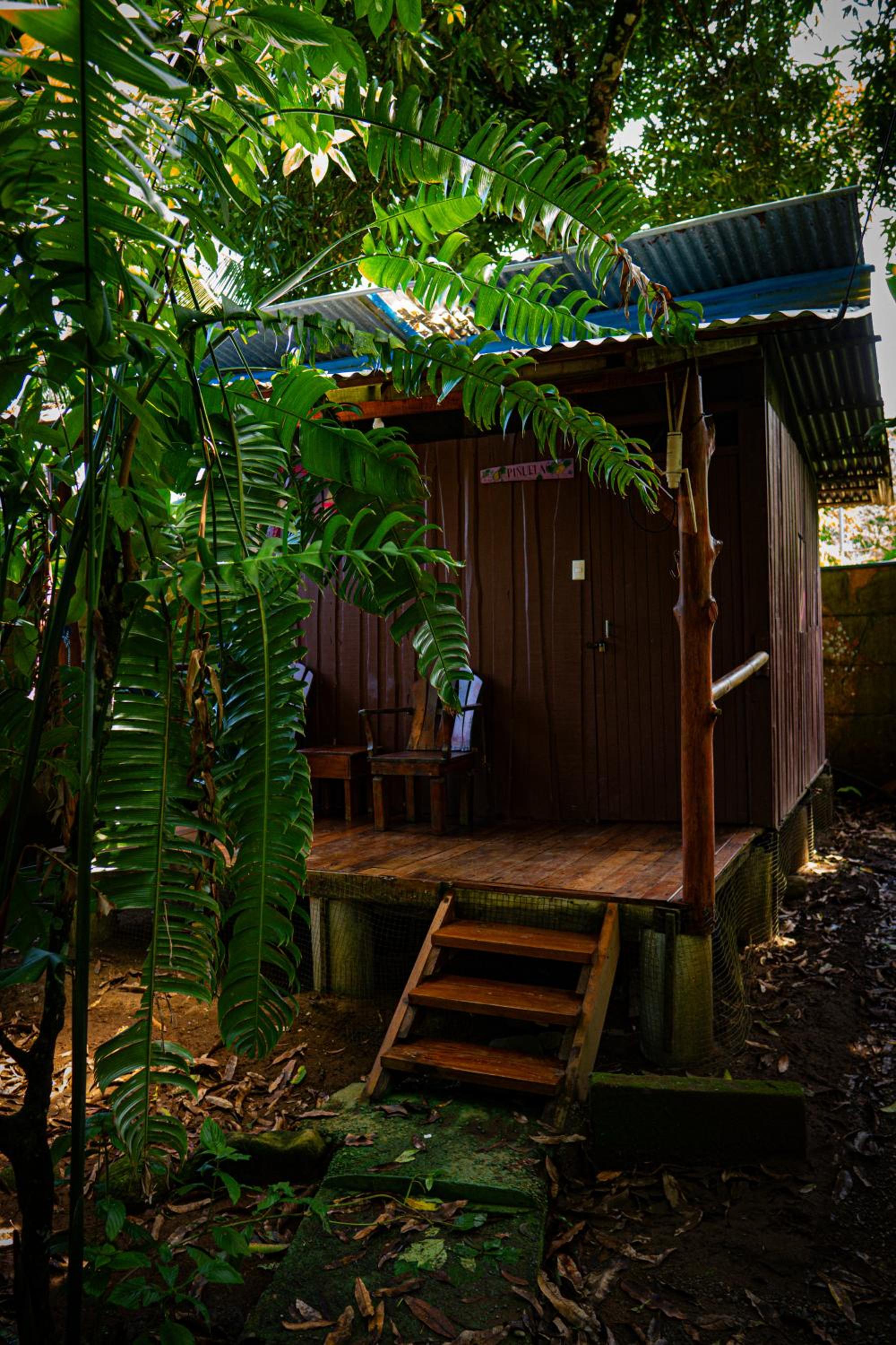 Flutterby House Hostel