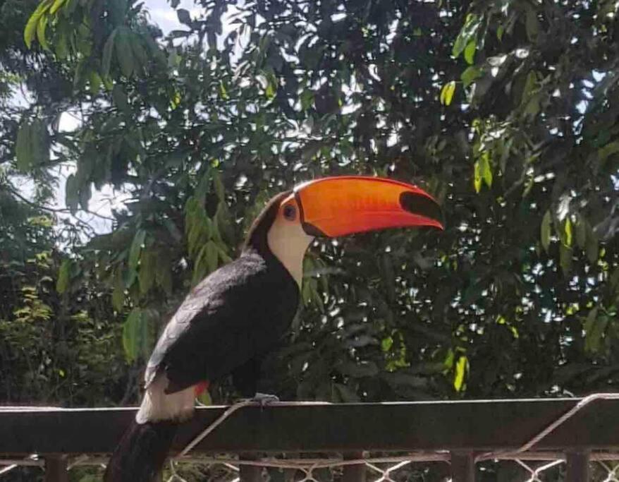 Aconchego Carioca. Seu lar longe de casa