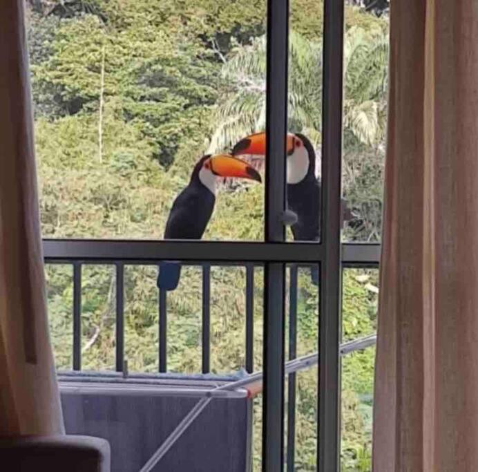 Aconchego Carioca. Seu lar longe de casa