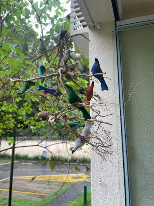 Aconchego Carioca. Seu lar longe de casa