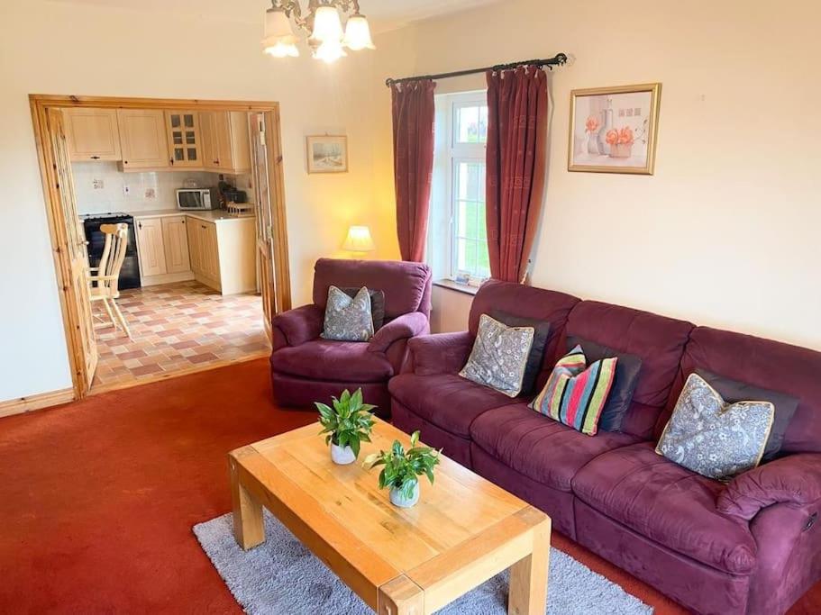 Hynes Self-Catering Midlands Banagher Birr view 3