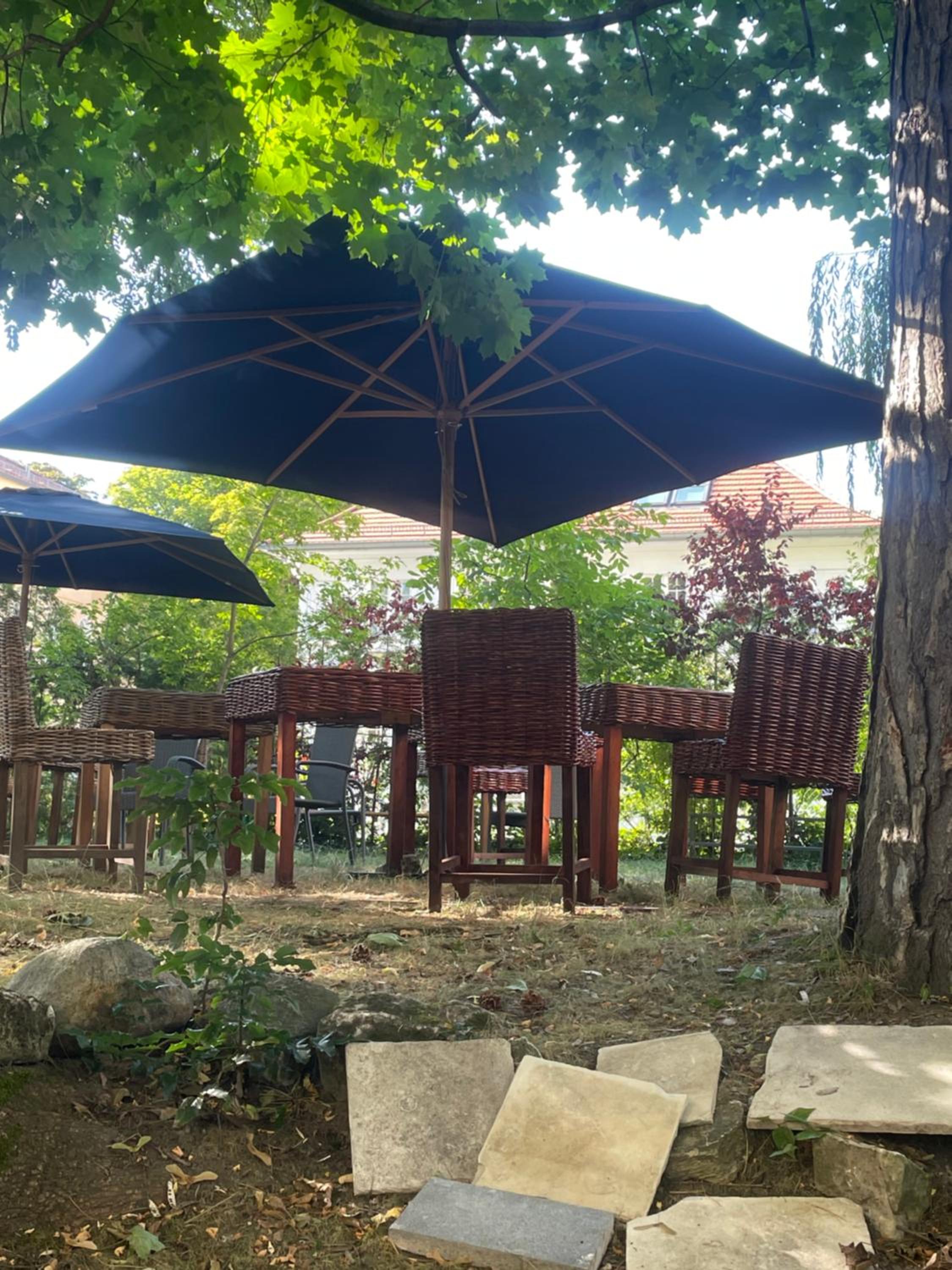 King David Garden