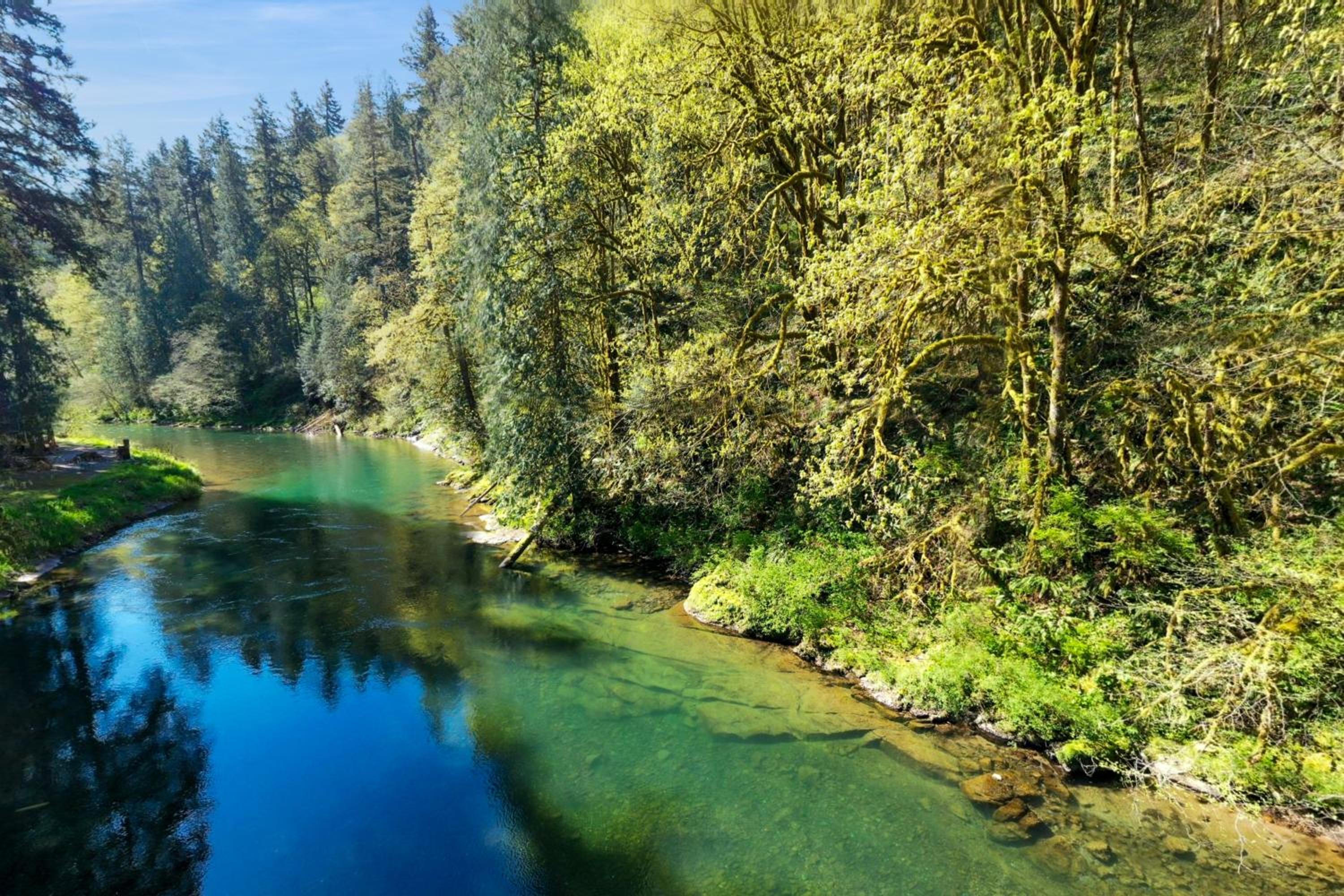 Kalama River View! Family-Friendly Nature Escape