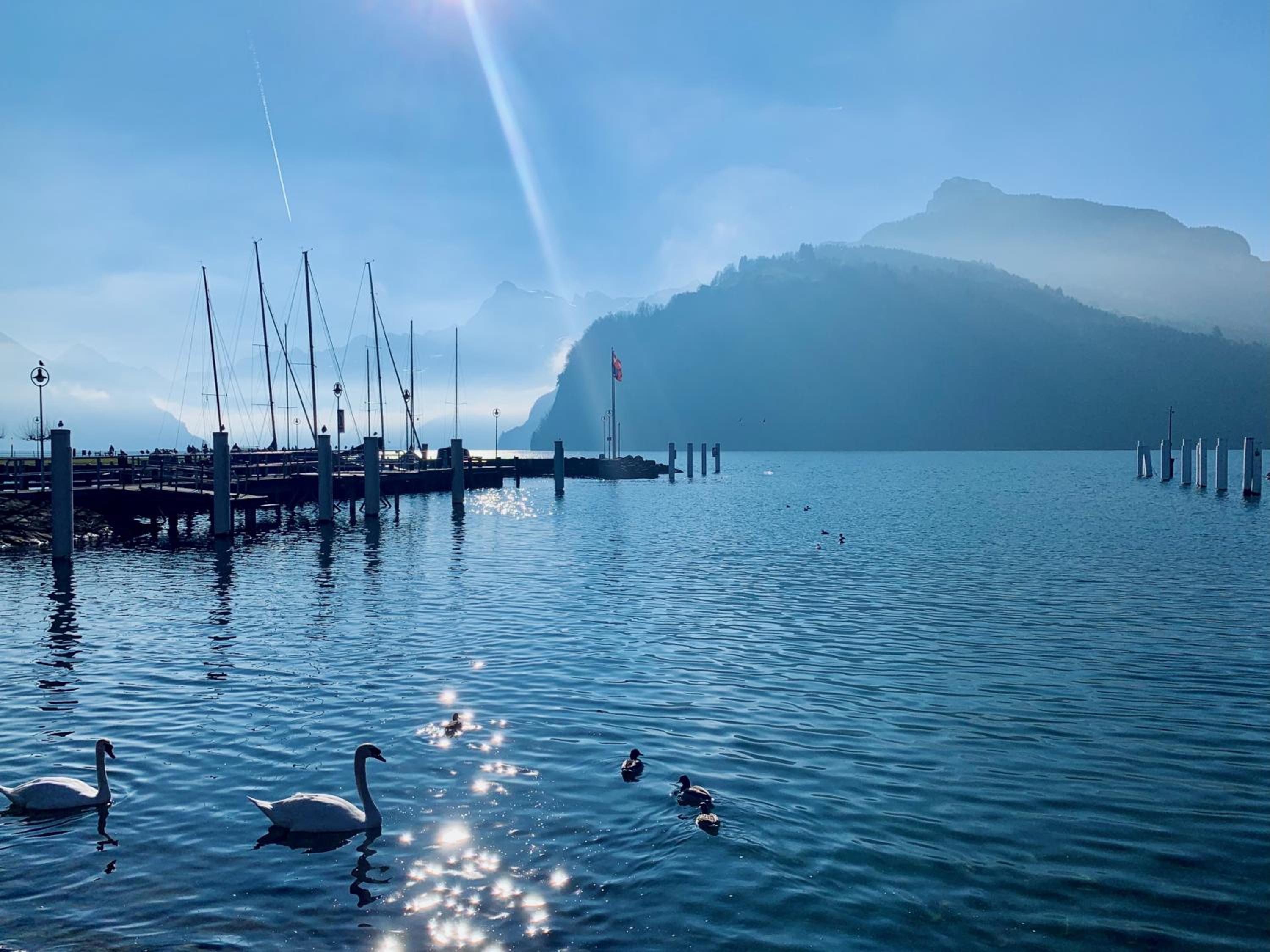 Dora o wellness o mountainview o lake Lucerne