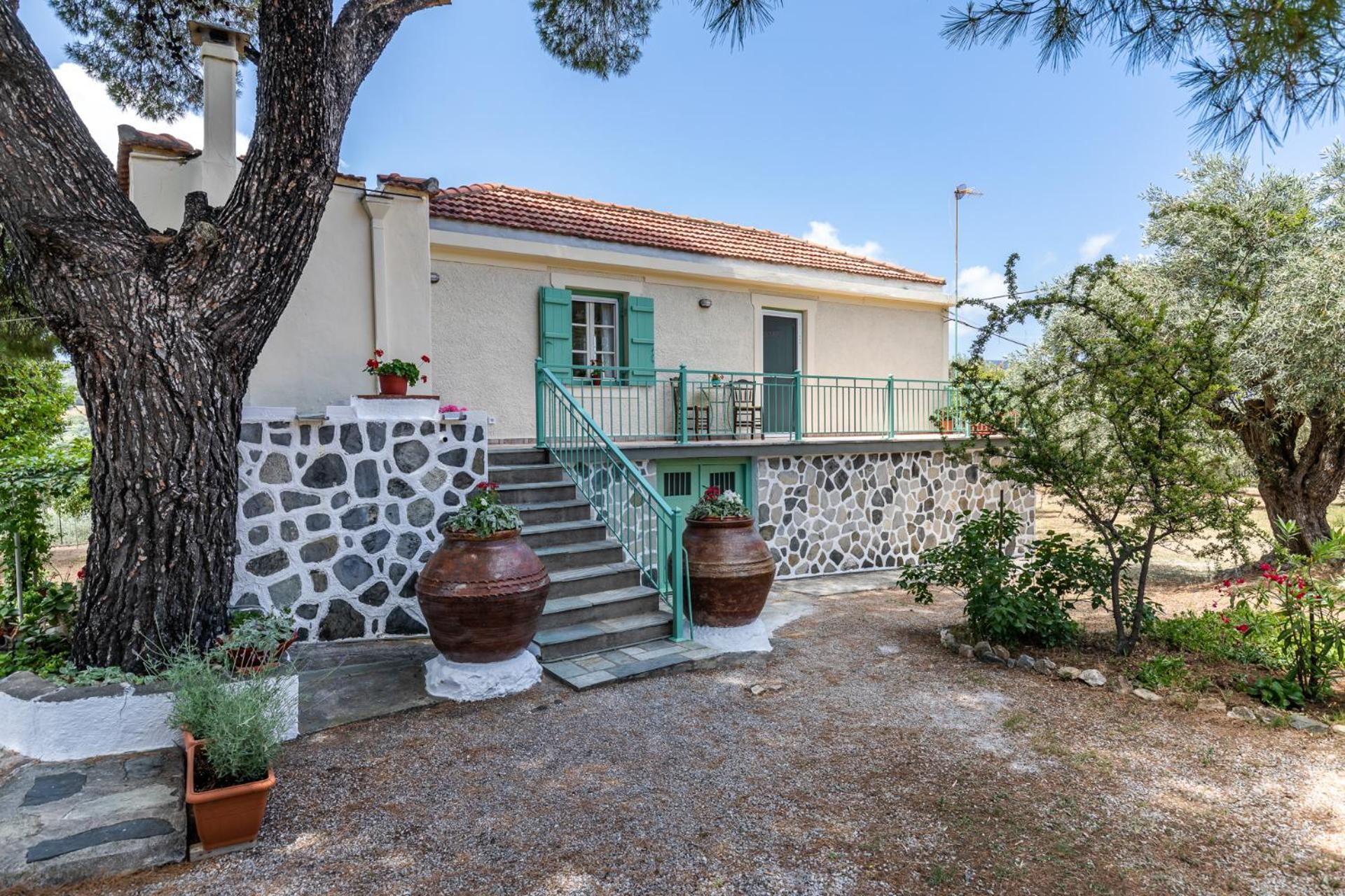 Anemoperasma - Peaceful Stay in an Olive Grove