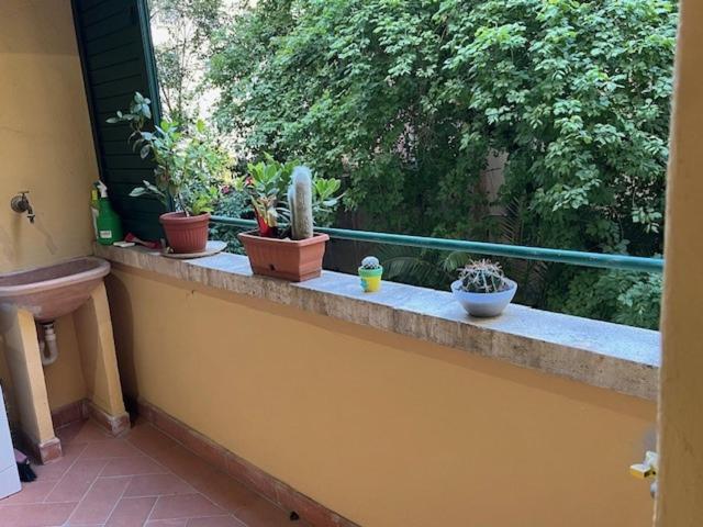 PiazzaBolognaStay