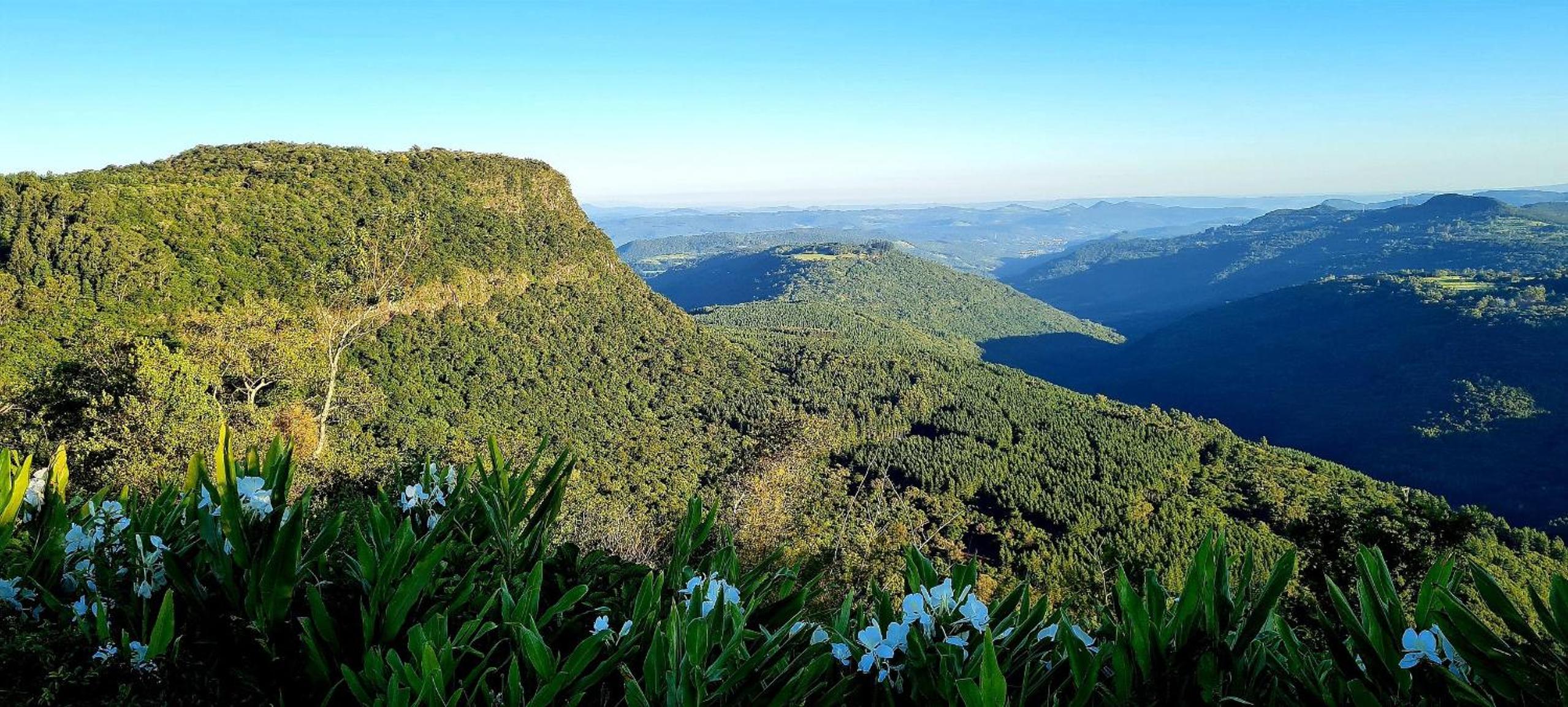 Fantástico Flat no Laje de Pedra Mountain Village