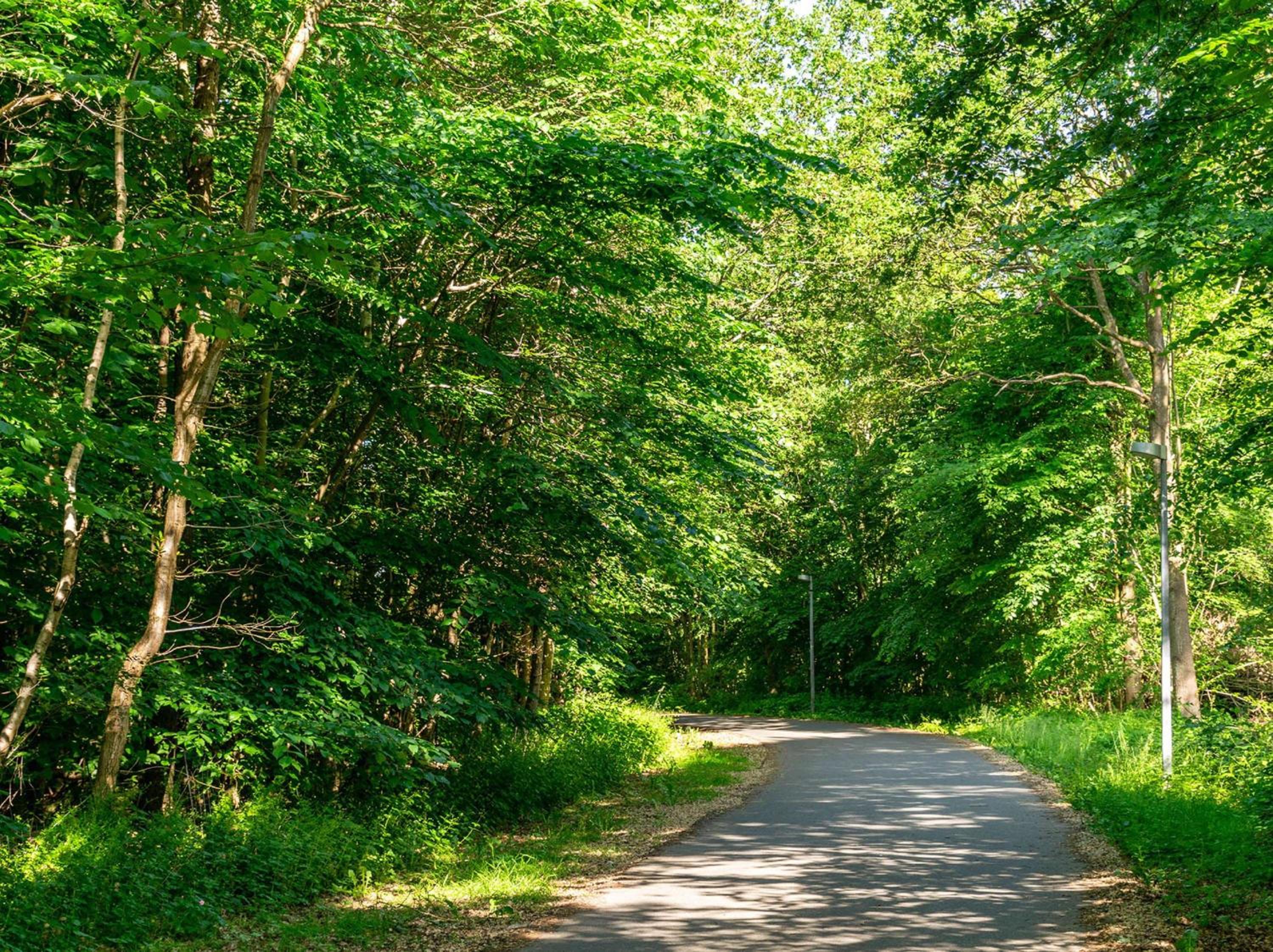 Odense Vacations - Best Western Plus Hotel Odense - Property Image 41