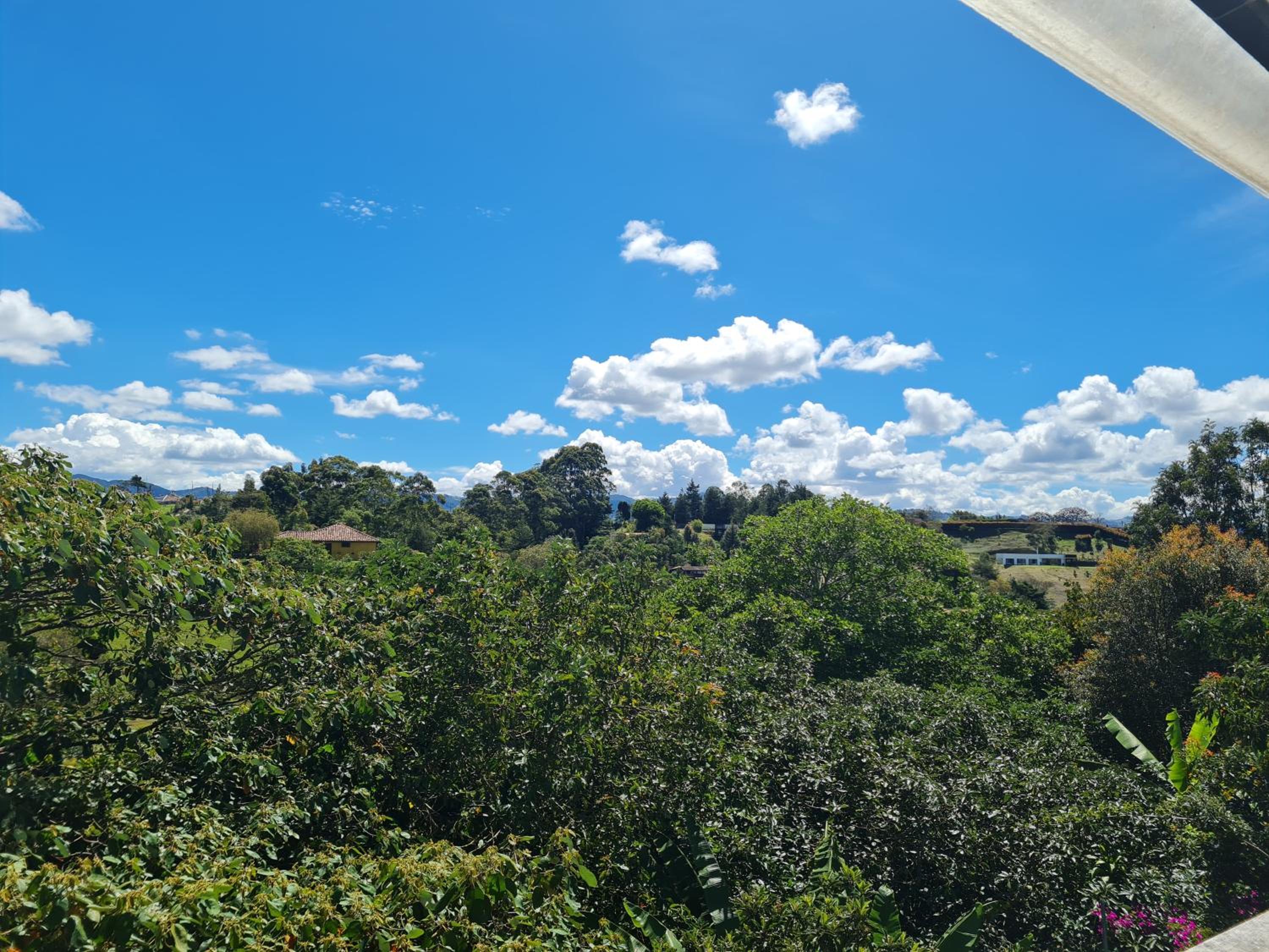 Apartamento campestre Rionegro