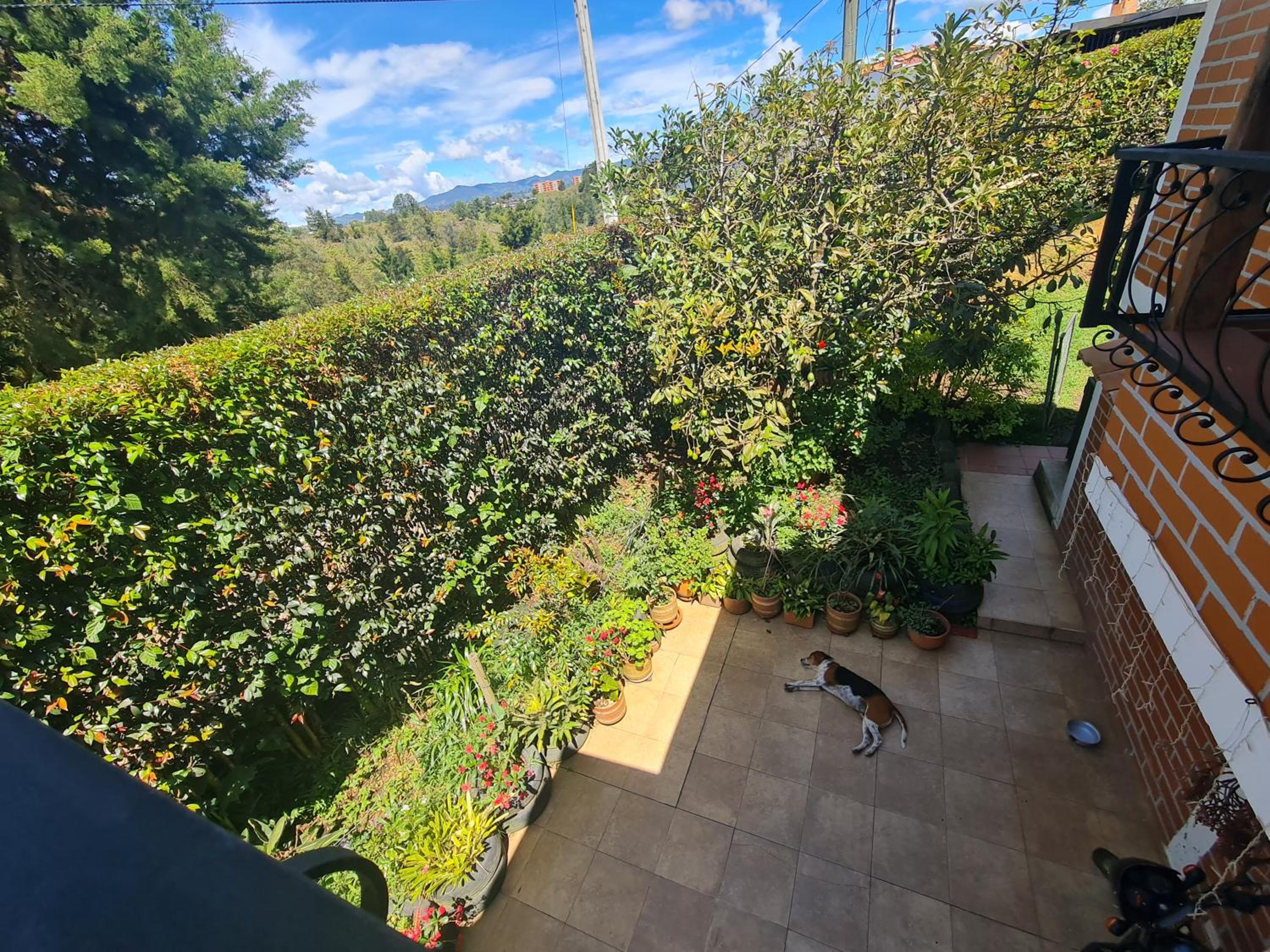 Apartamento campestre Rionegro