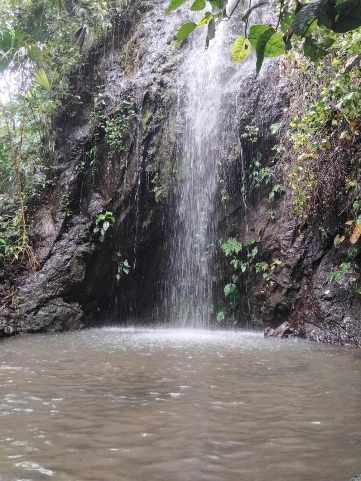 Mar y Selva