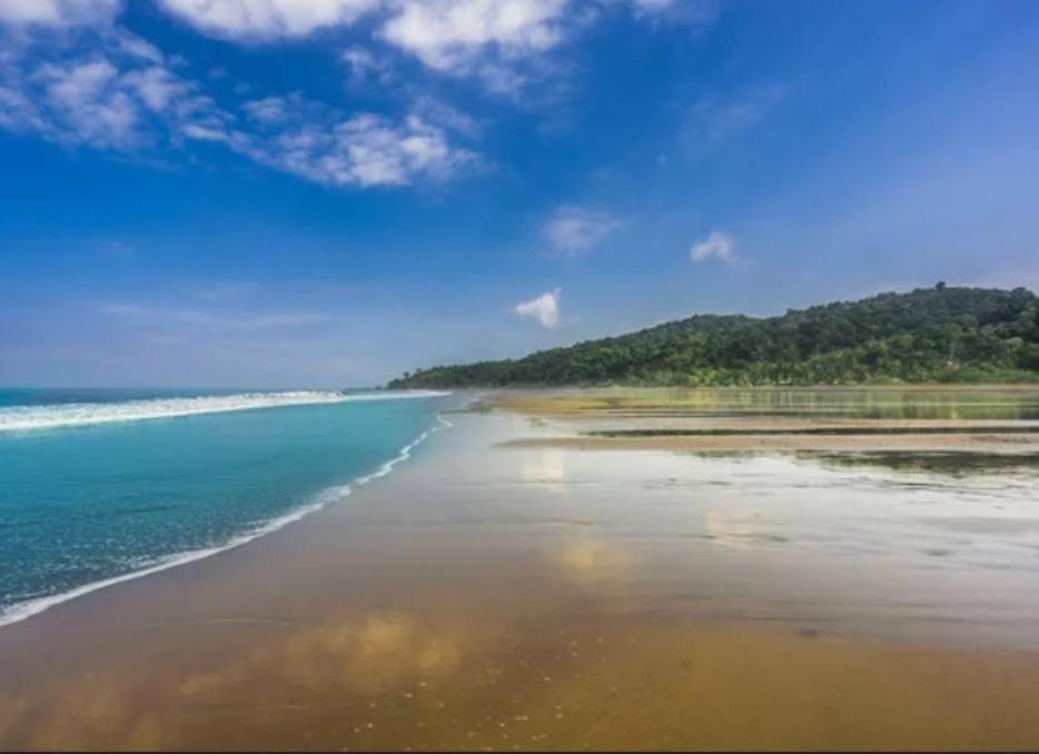 Mar y Selva