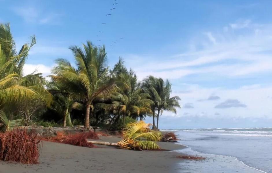 Mar y Selva