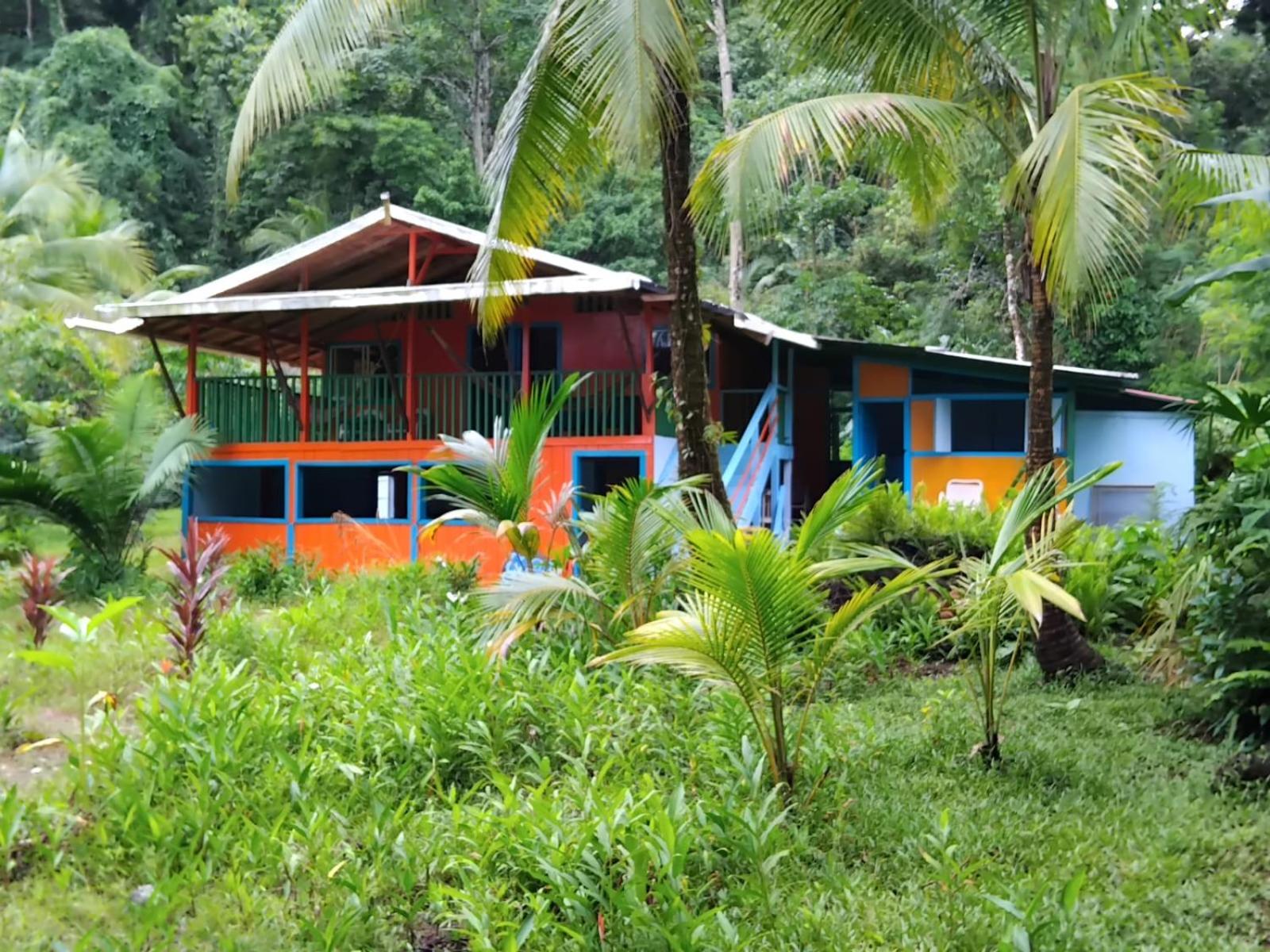 Mar y Selva