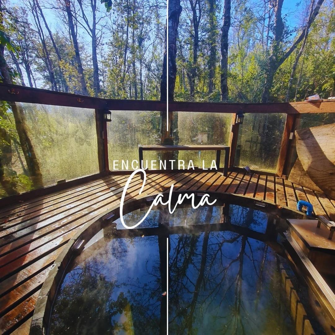 CASA ARBOL PUCÓN - Piscina y tinaja