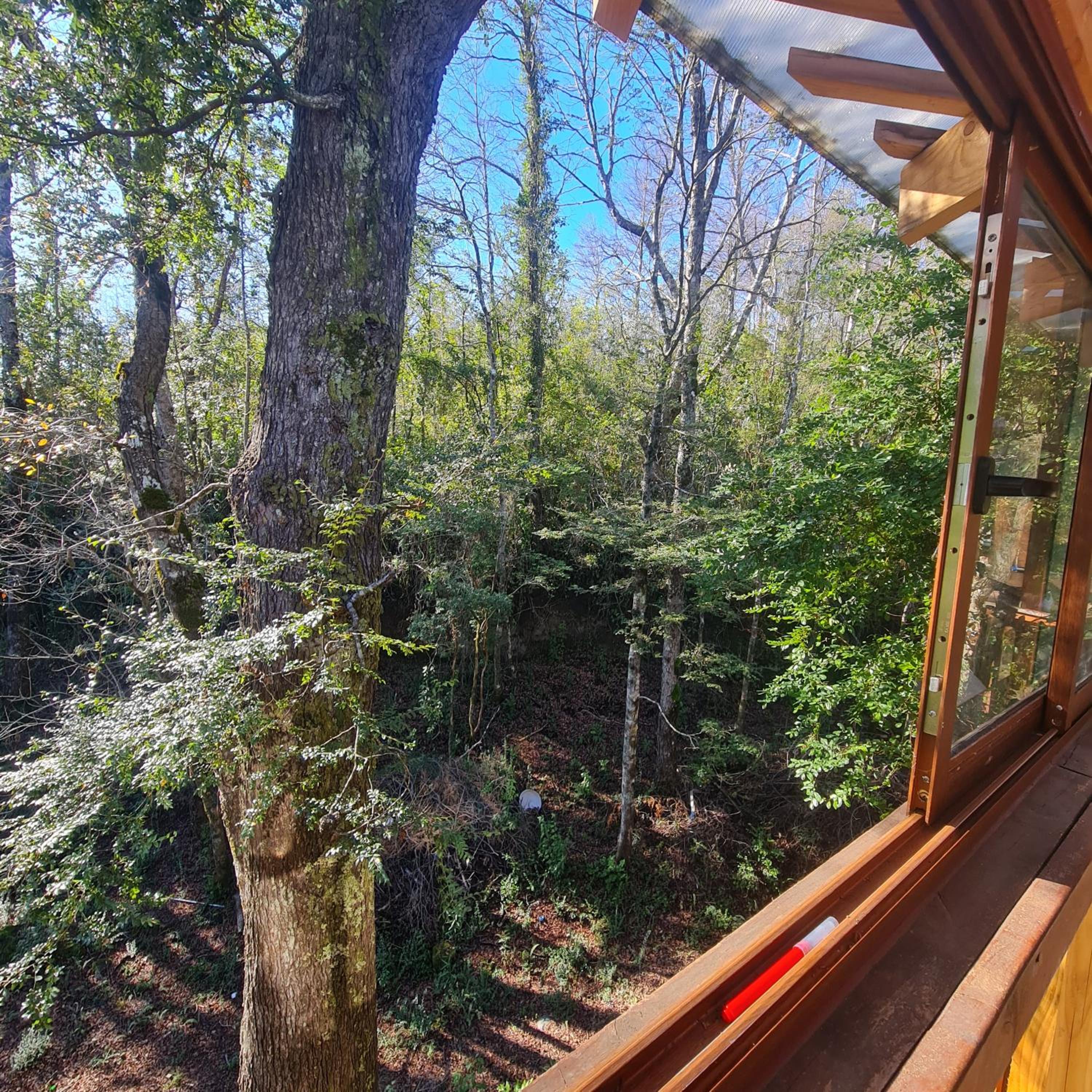 CASA ARBOL PUCÓN - Piscina y tinaja