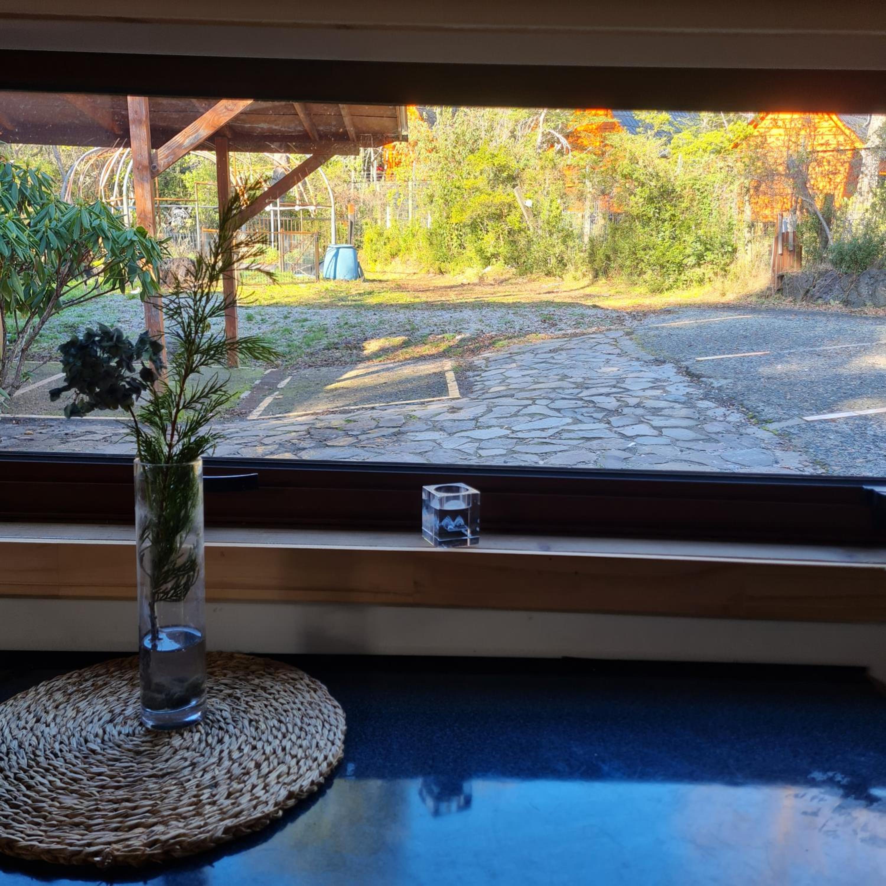 CASA ARBOL PUCÓN - Piscina y tinaja