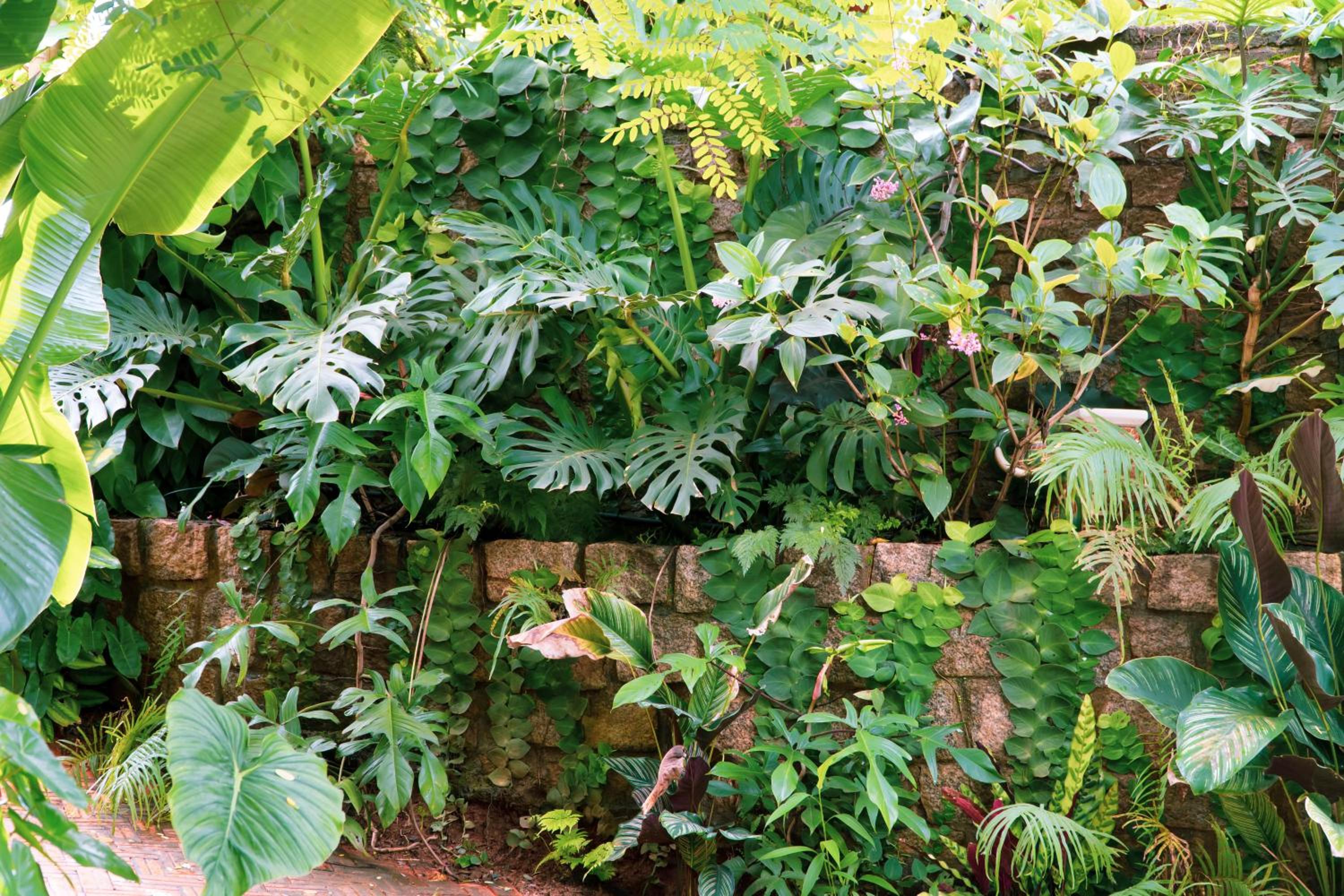 Harmony Botanical Garden Stay - 300 Plant Species, Natural Stream and Small Pool