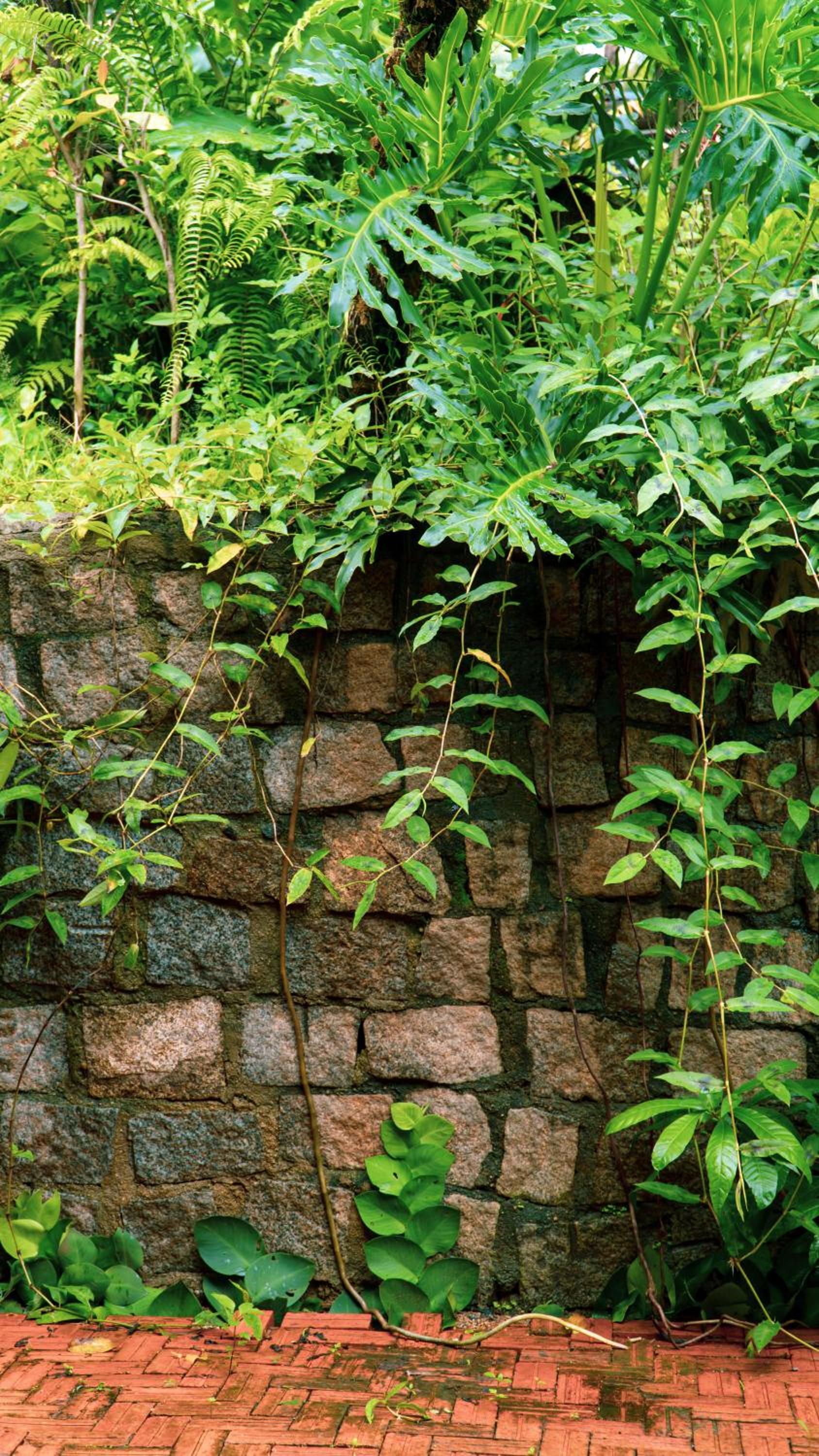Harmony Botanical Garden Stay - 300 Plant Species, Natural Stream and Small Pool