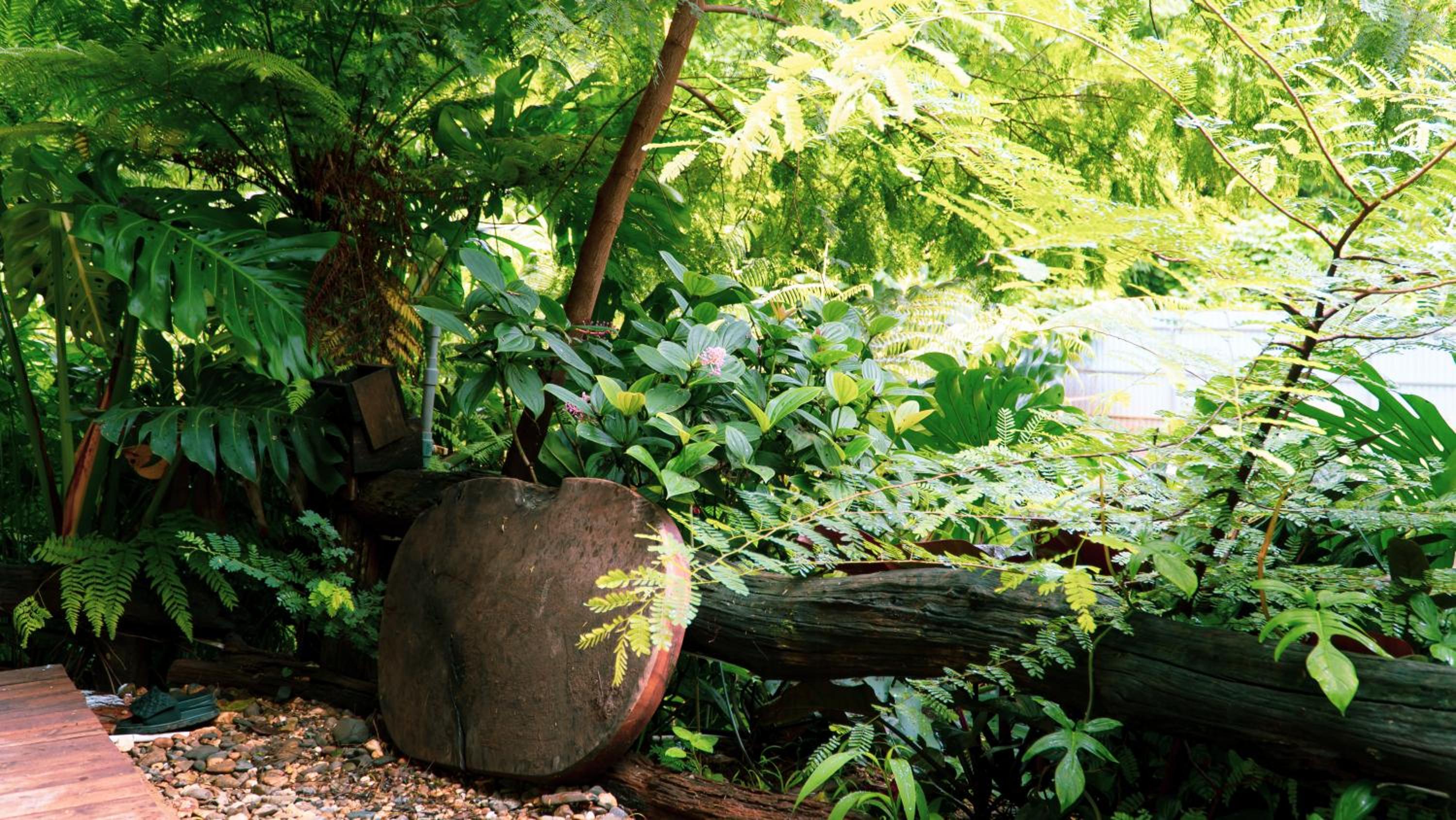 Harmony Botanical Garden Stay - 300 Plant Species, Natural Stream and Small Pool