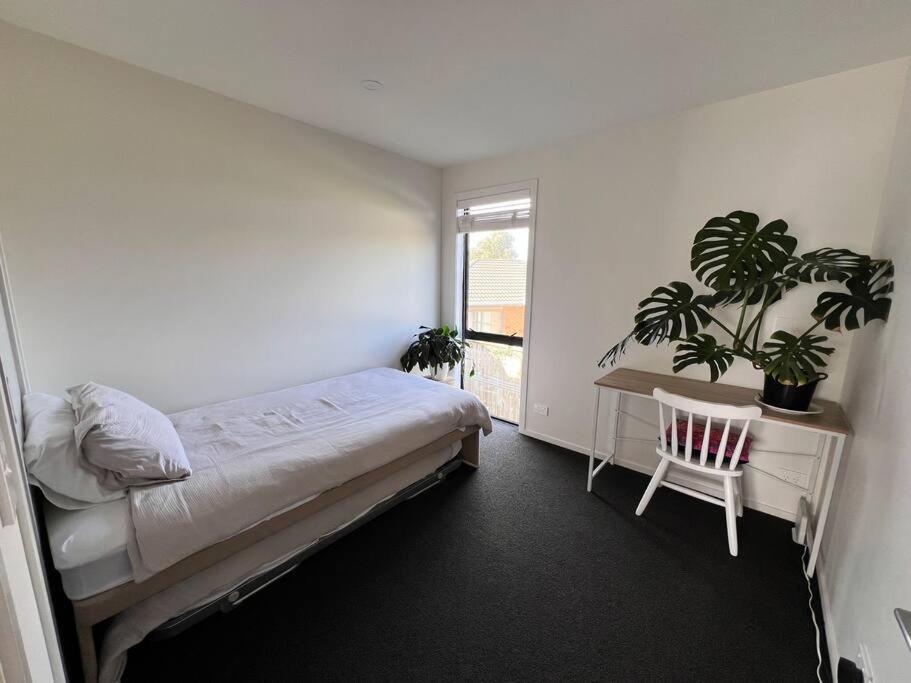 Modern Mangere Town House