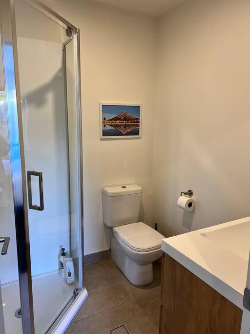Modern Mangere Town House