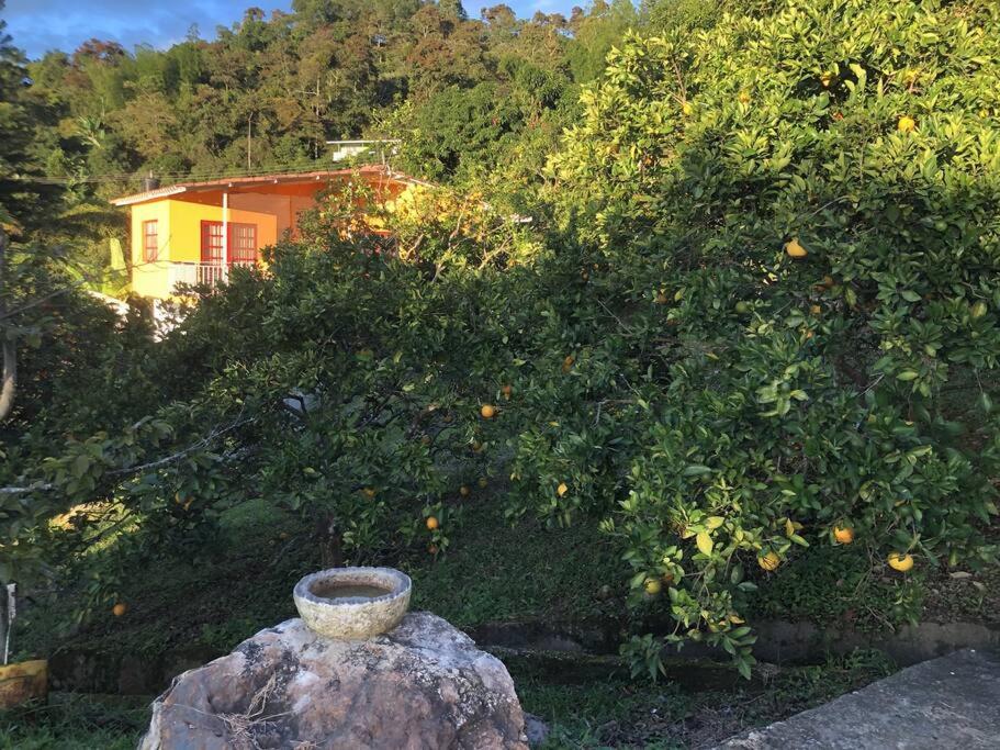 Casa de terrazas espectaculares