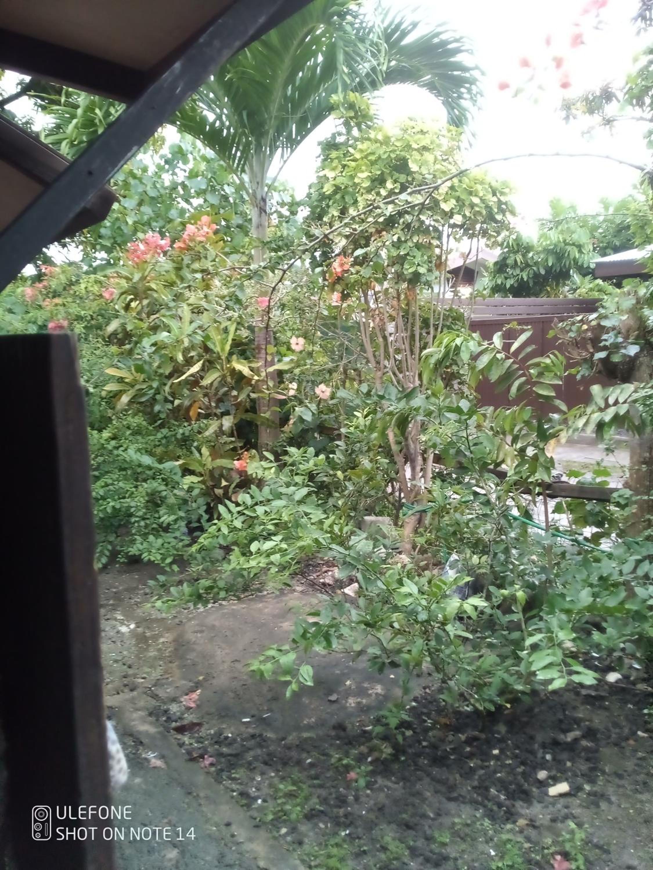 Photo 25