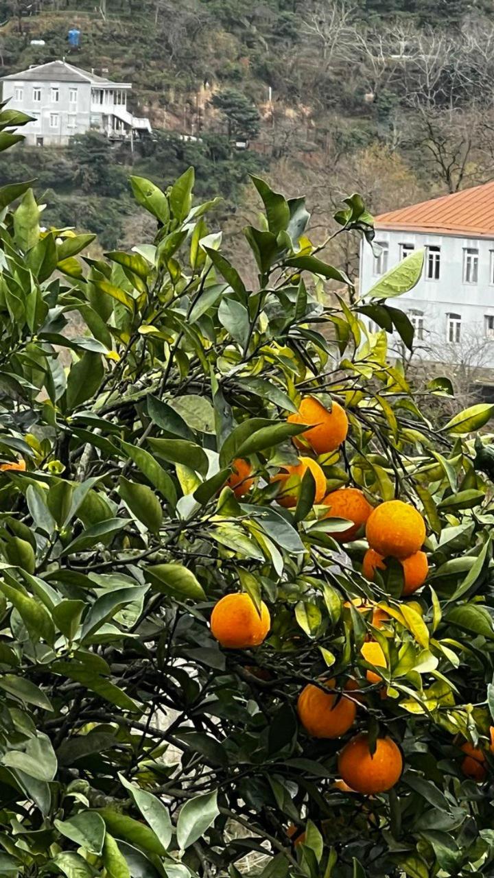 Villa Gantiadi