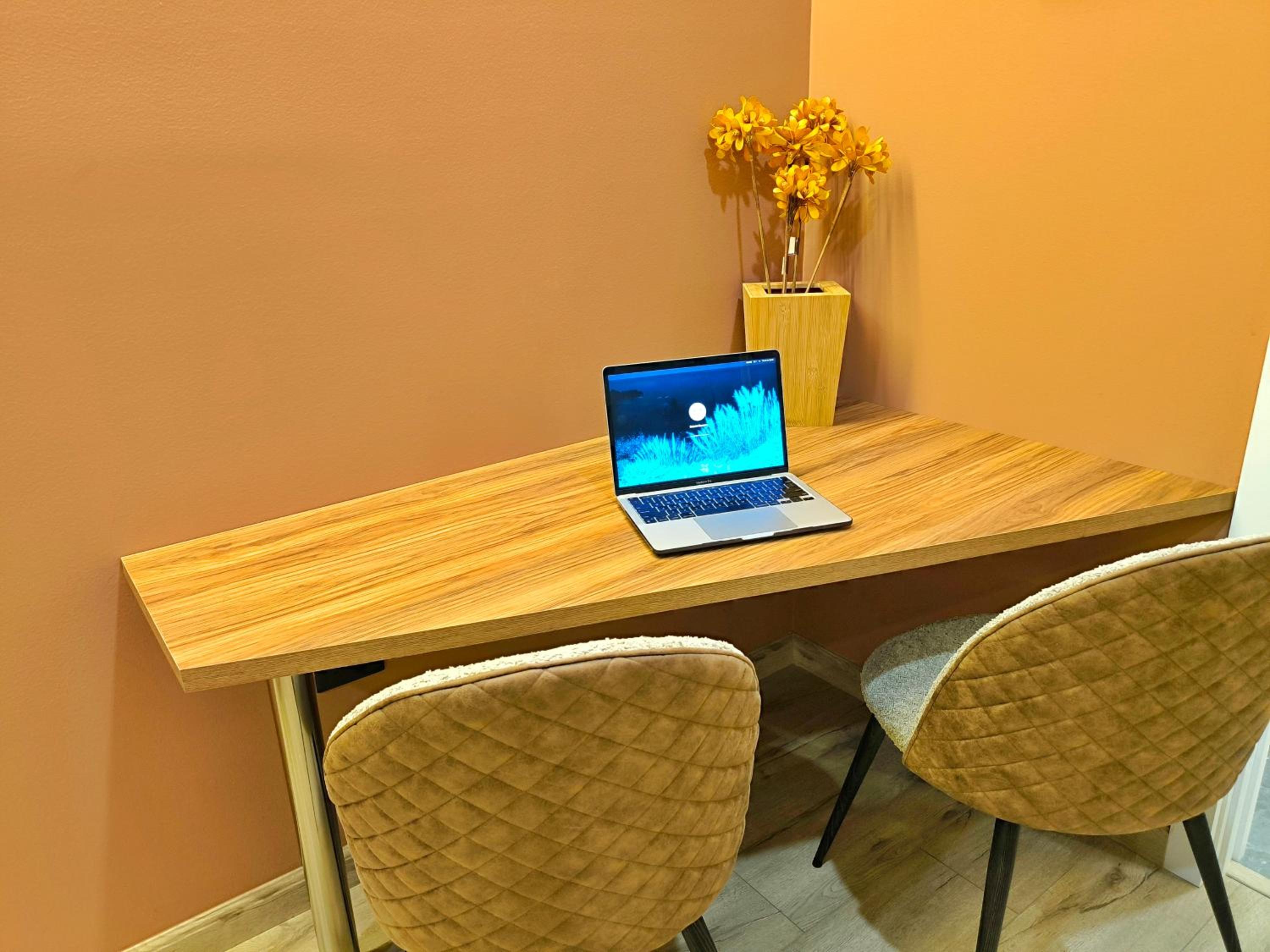 Republica del Salvador Coliving Ecuador XOE