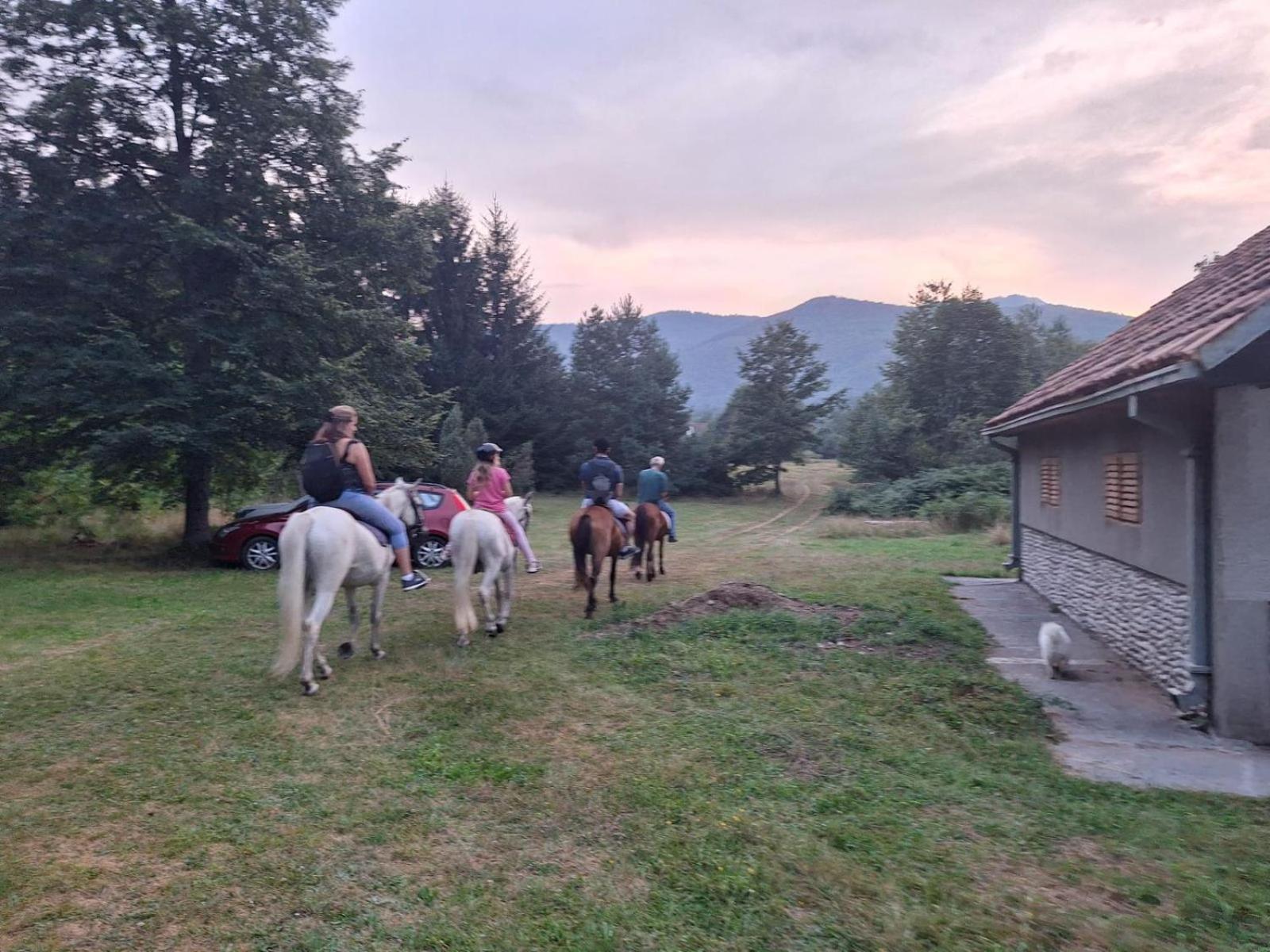 Pine corner Mojkovac